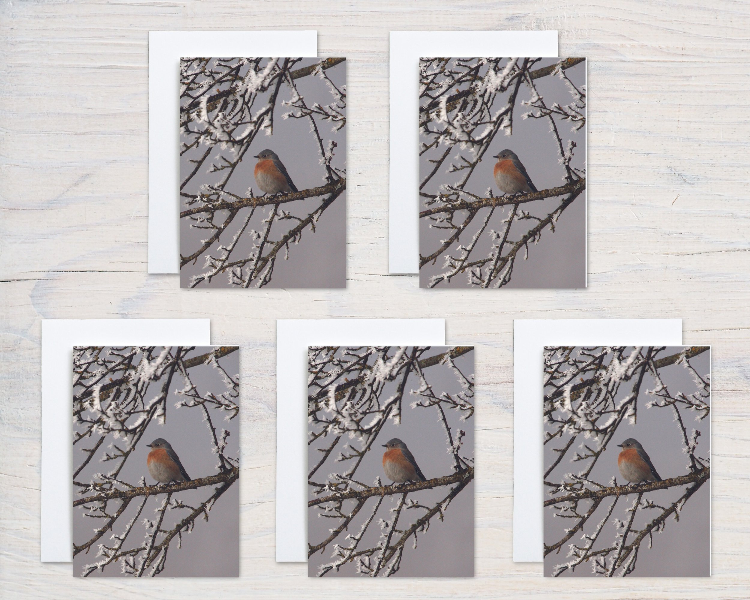 Untitled design - 2024-11-04T064521.236.jpg