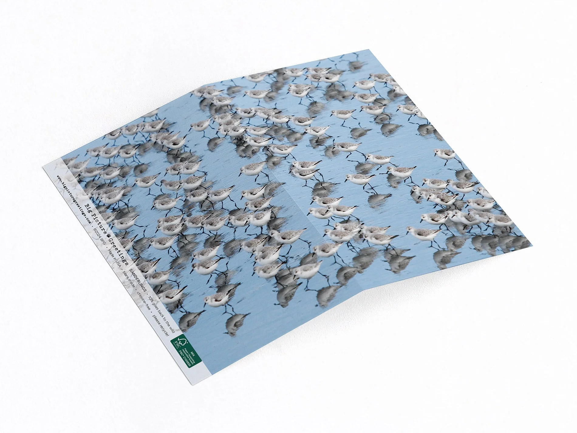 Sanderlings wrap around card.