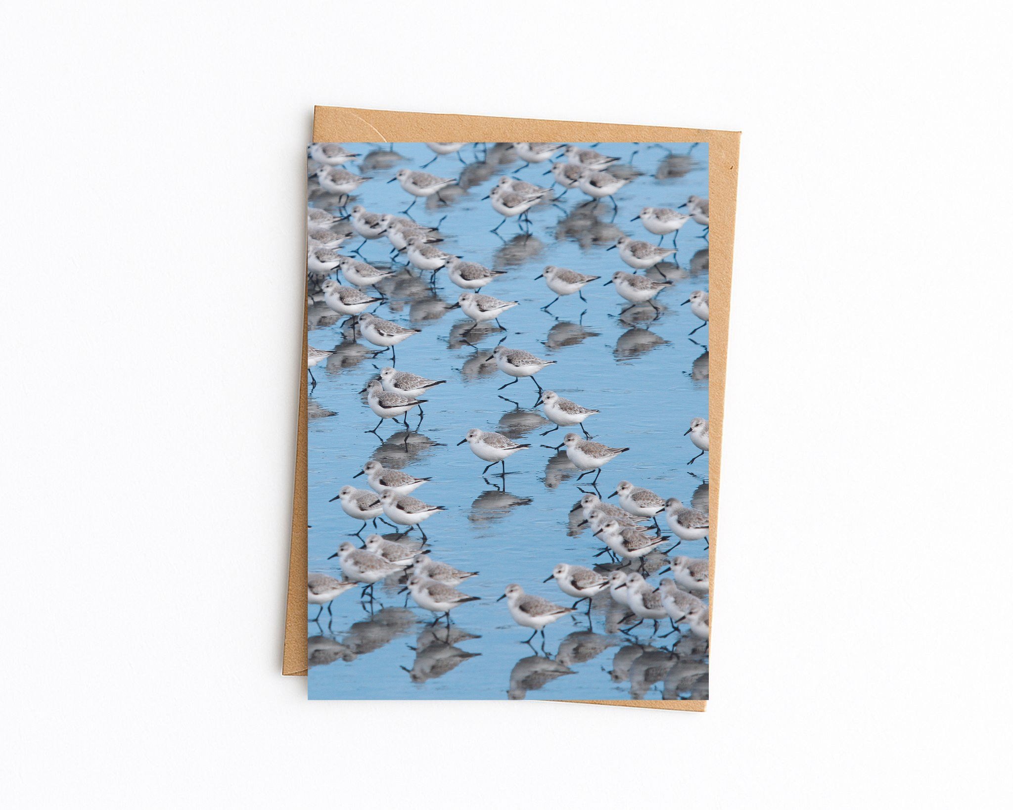 5x7 white with kraft envelope (49).jpg