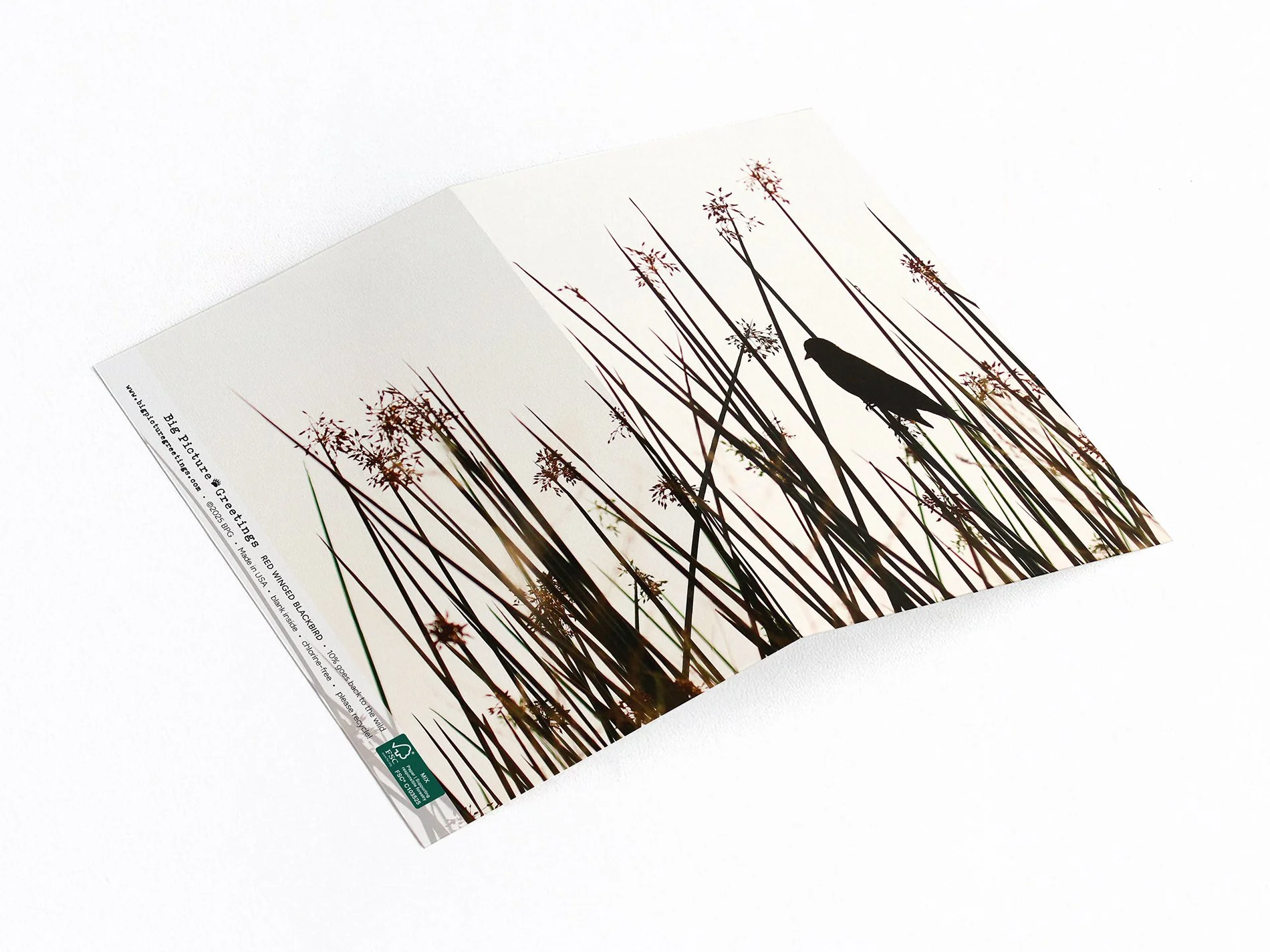 Red-winged Blackbird wrap around card