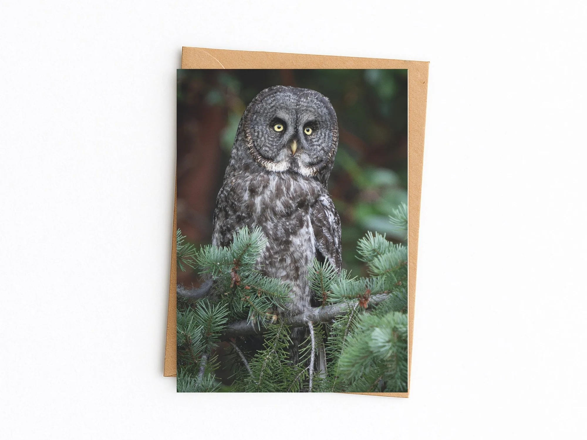 Copy of 2026 Card template front MASTER (1).jpg