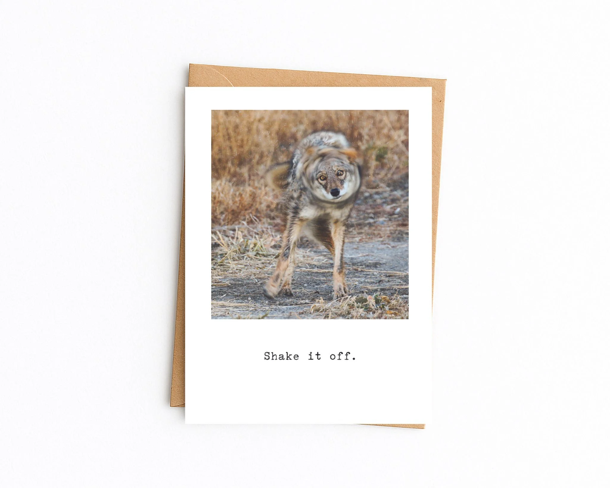 5x7 white with kraft envelope (76).jpg