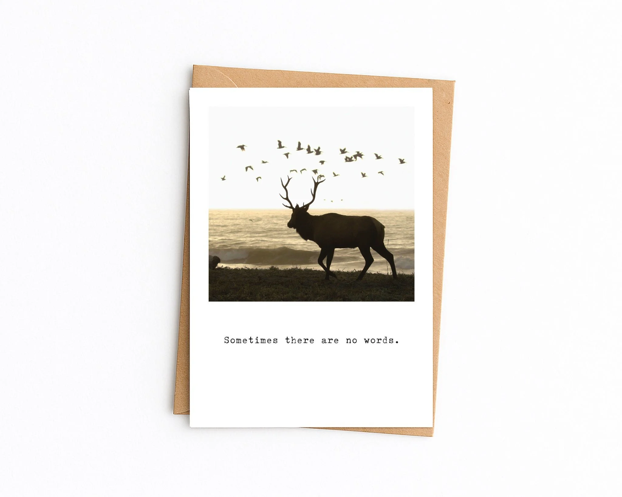 5x7 white with kraft envelope (34).jpg