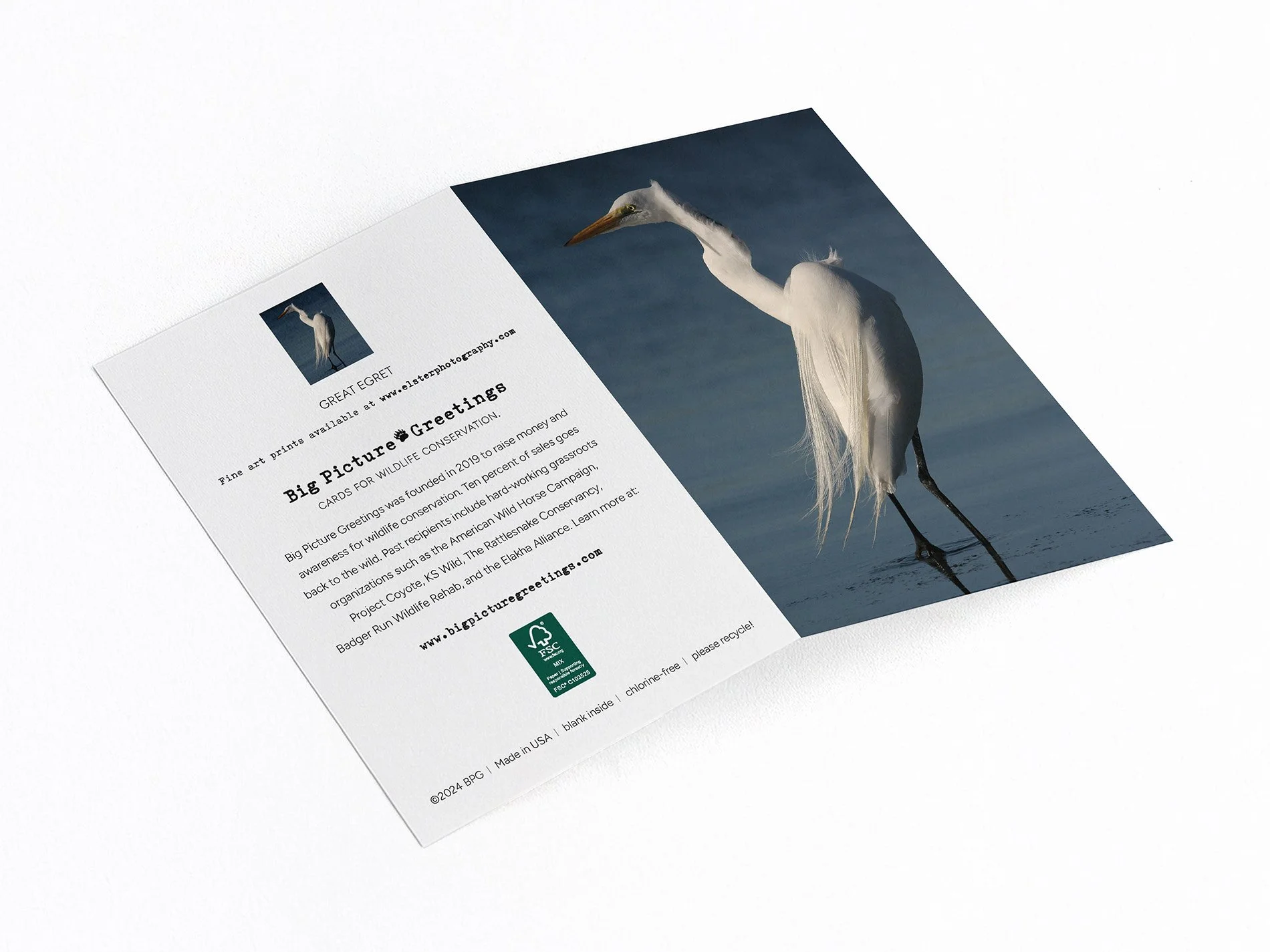 egret finished mock jpeg.jpg