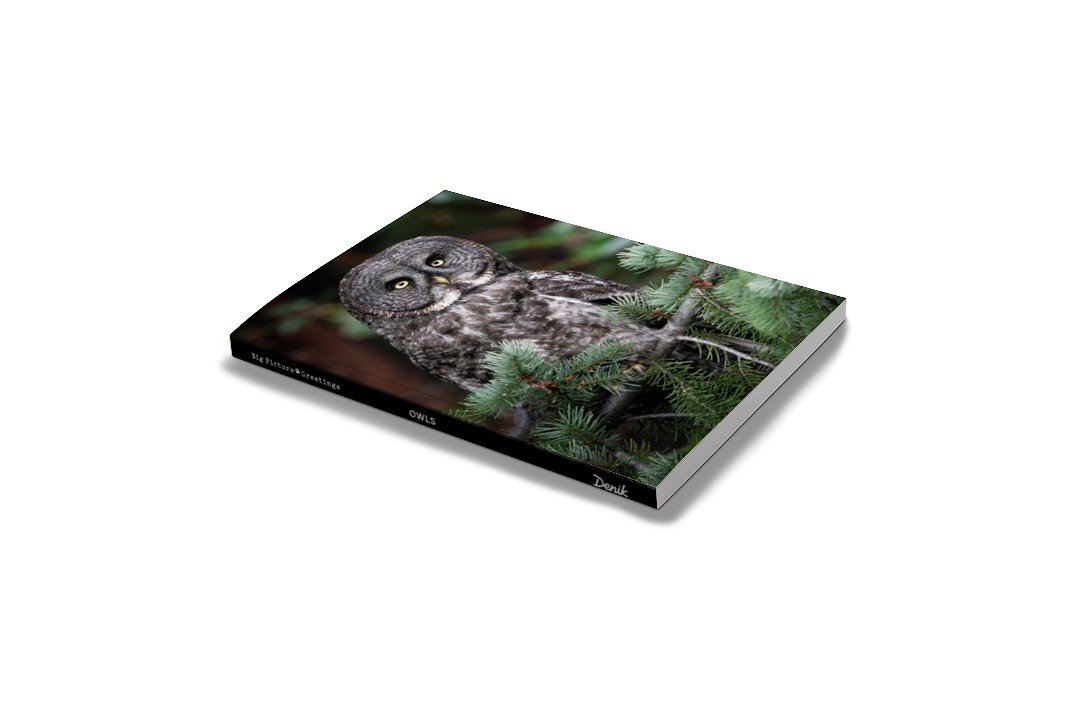 mockup-3.jpg