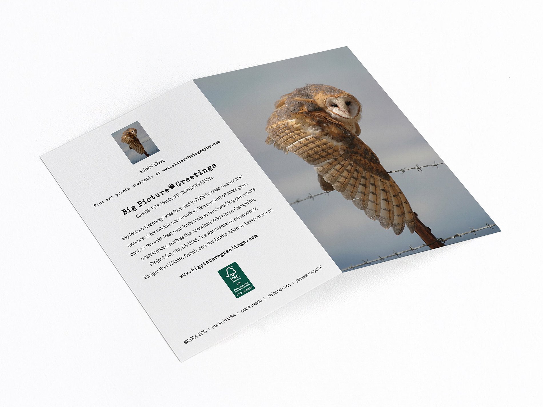 b owl finished mock.jpg