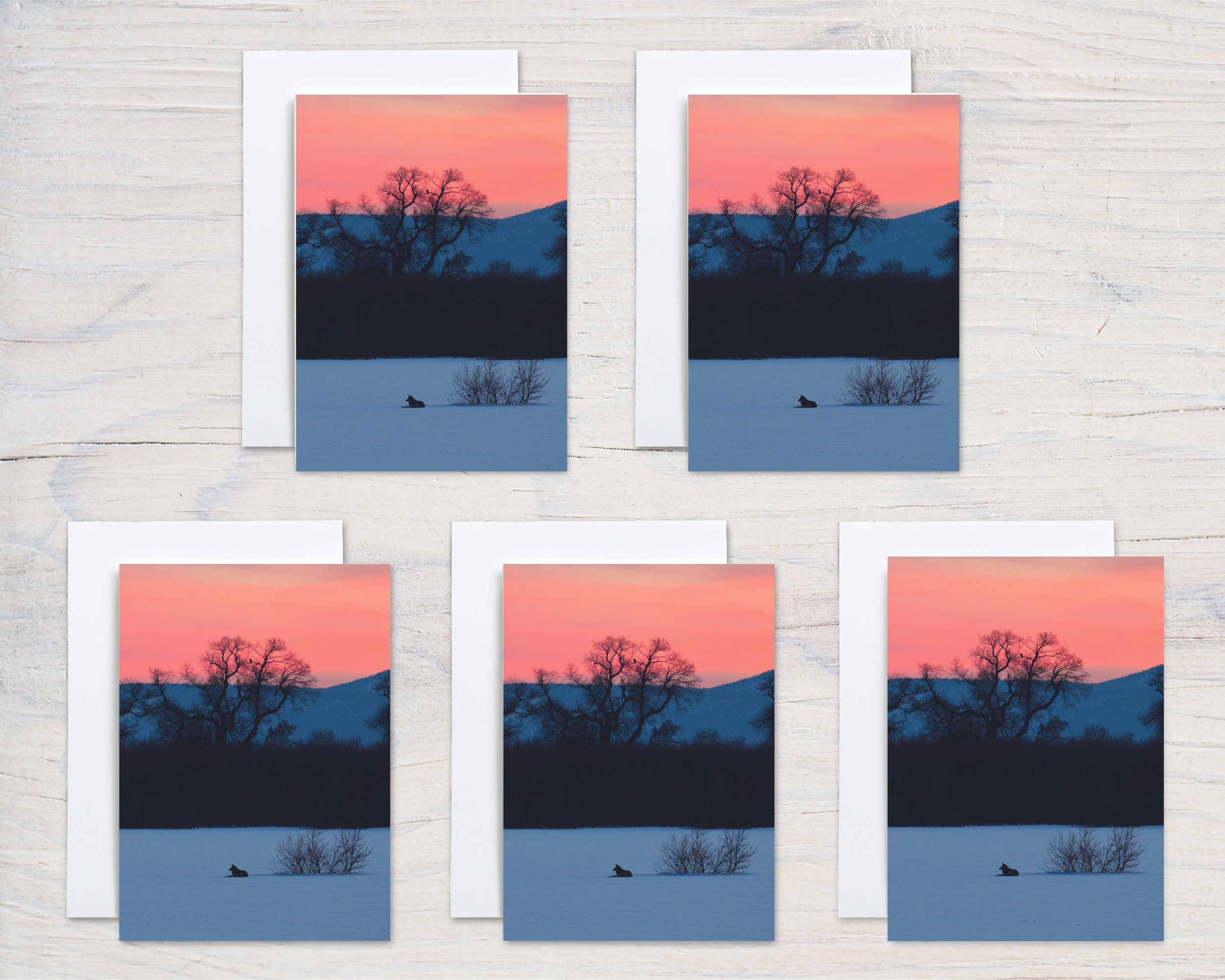 Untitled design - 2024-10-29T082915.825.jpg