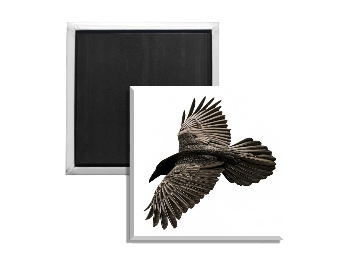 Raven Five.jpg