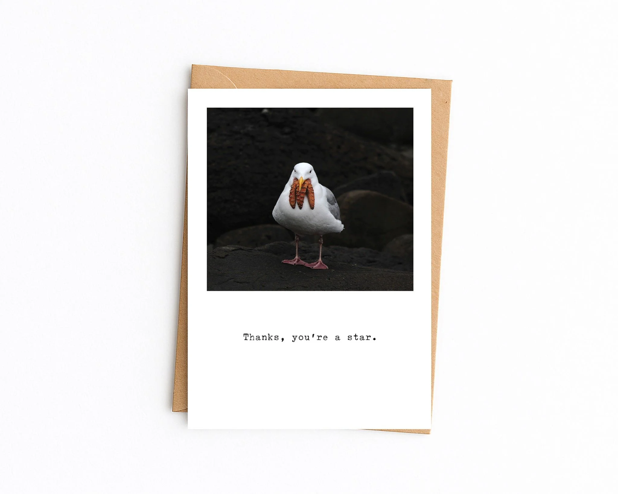 5x7 white with kraft envelope (32).jpg