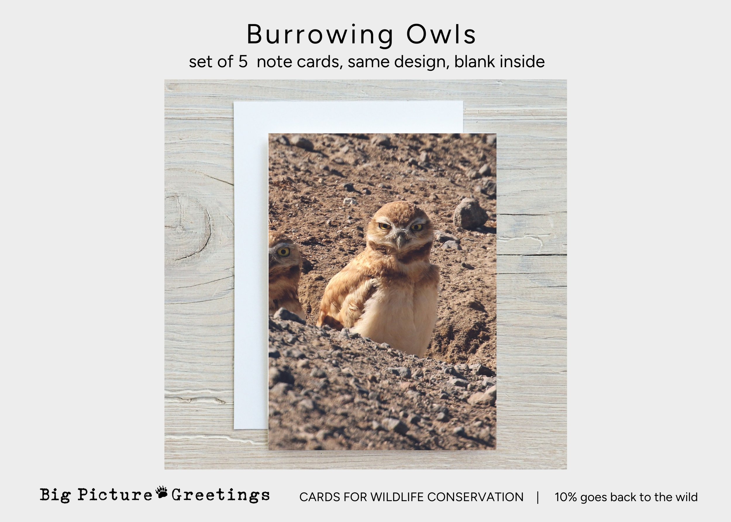 Copy of Copy of cards for wildlife conservation (24).jpg