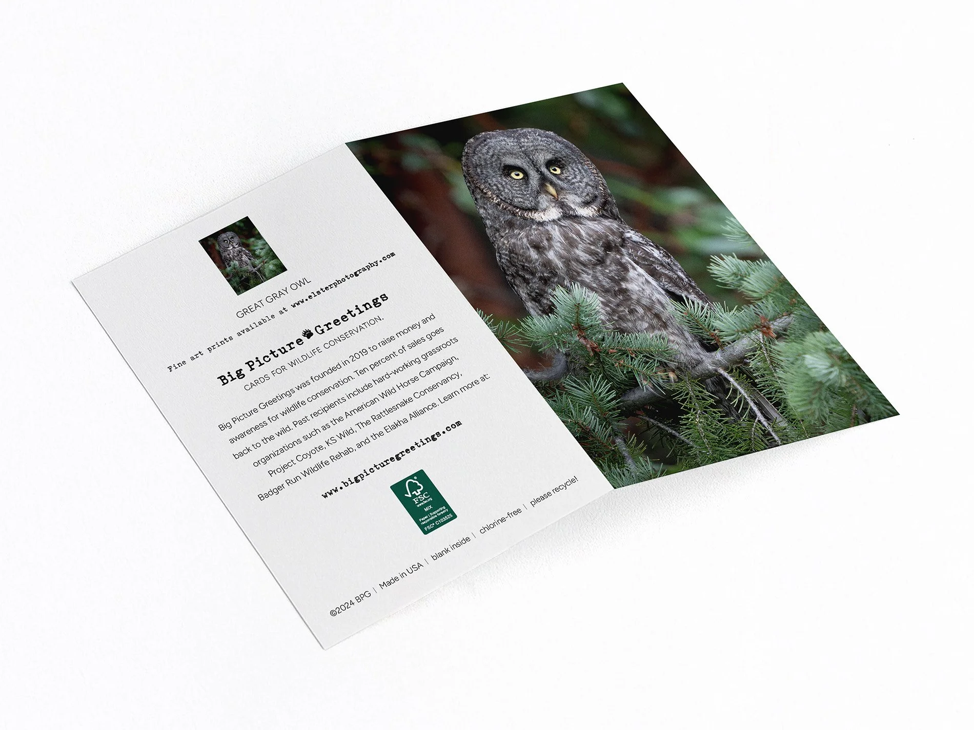 owl in tree finished mockjpeg.jpg