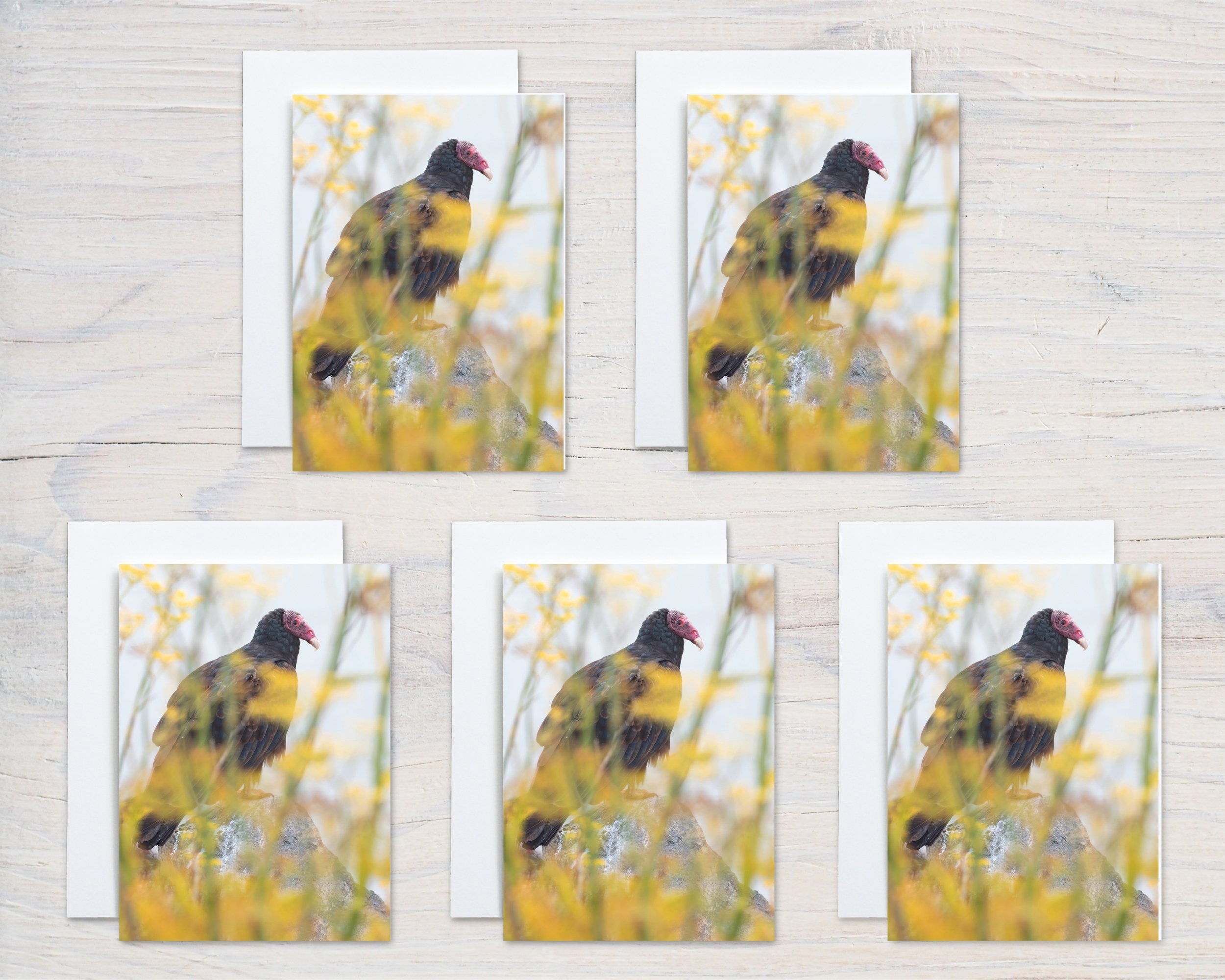 Untitled design - 2024-10-29T080143.268.jpg