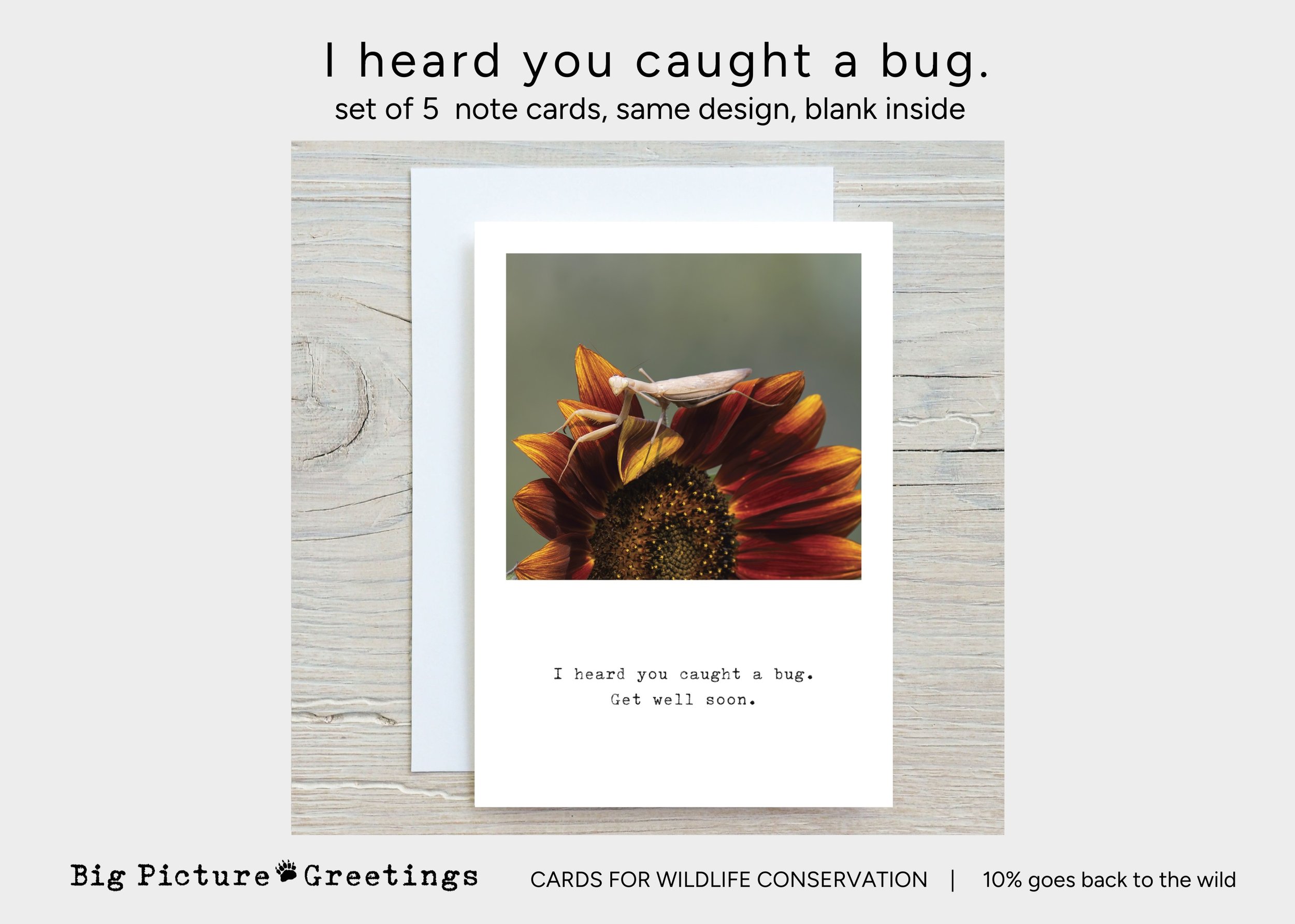 Copy of Copy of cards for wildlife conservation (12).jpg