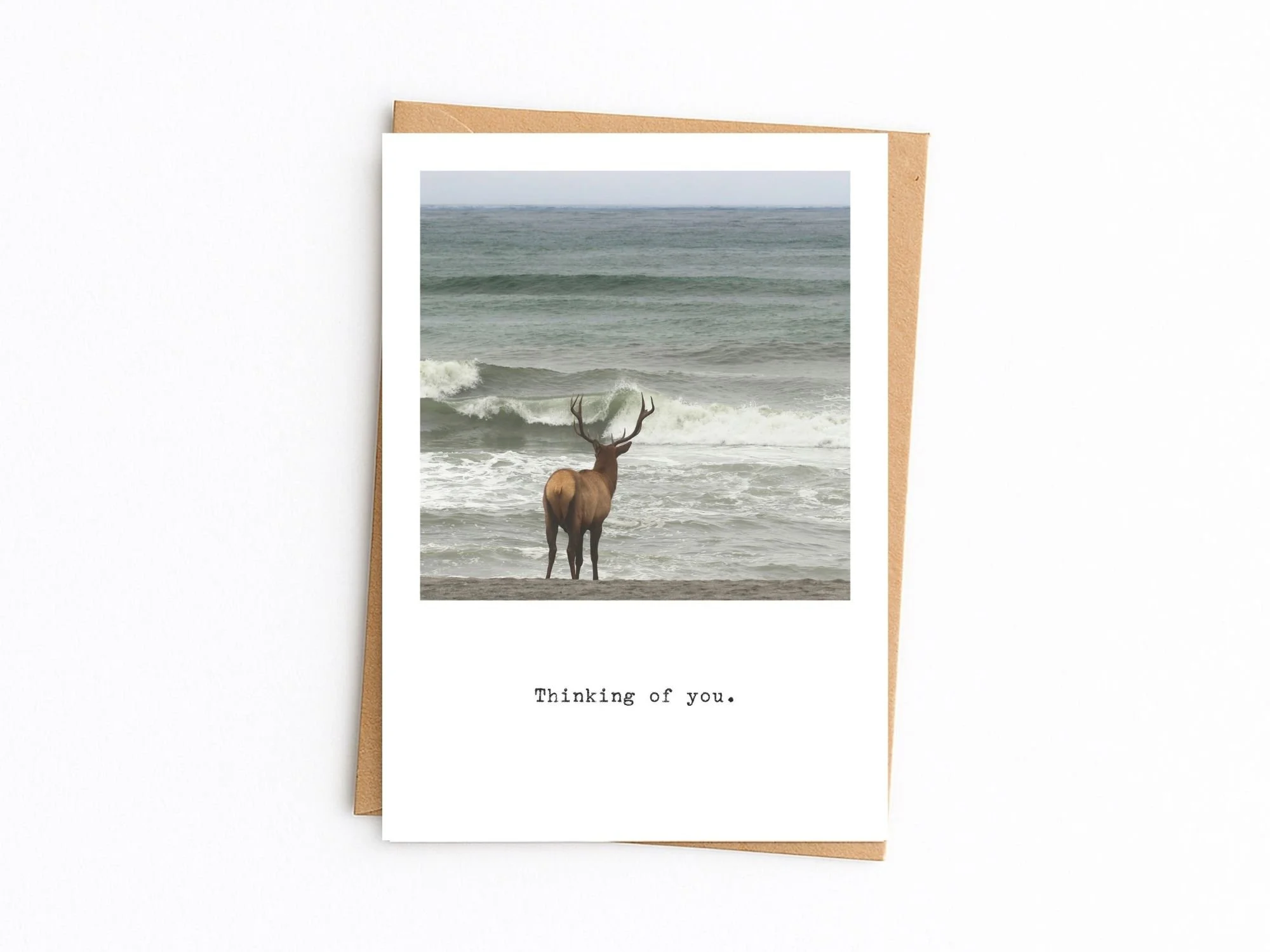 Thinking of you. Roosevelt Elk