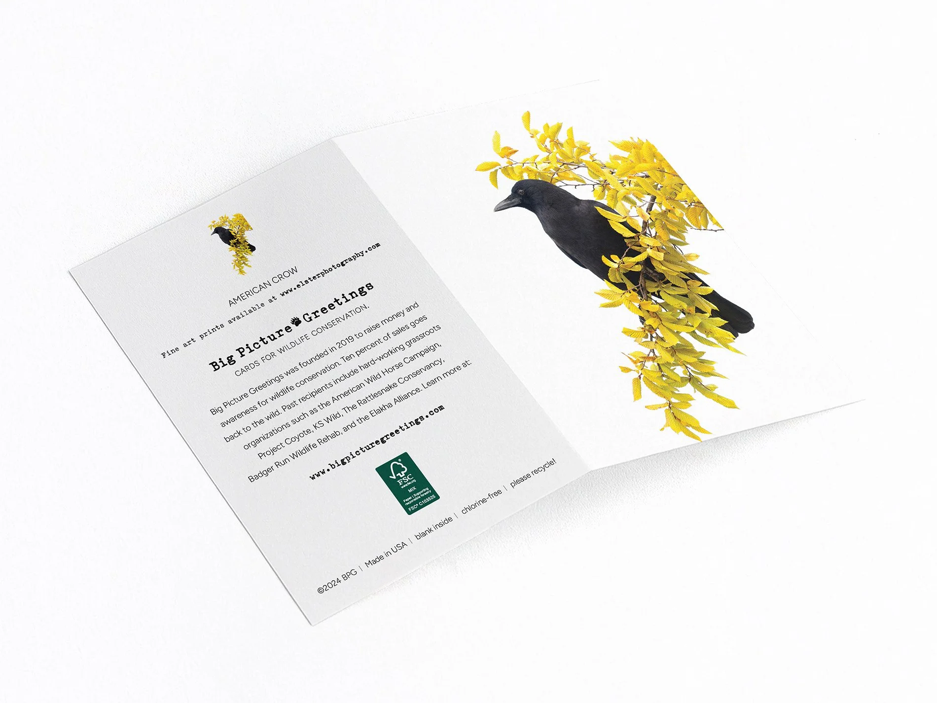 american crow finished mockjpeg.jpg