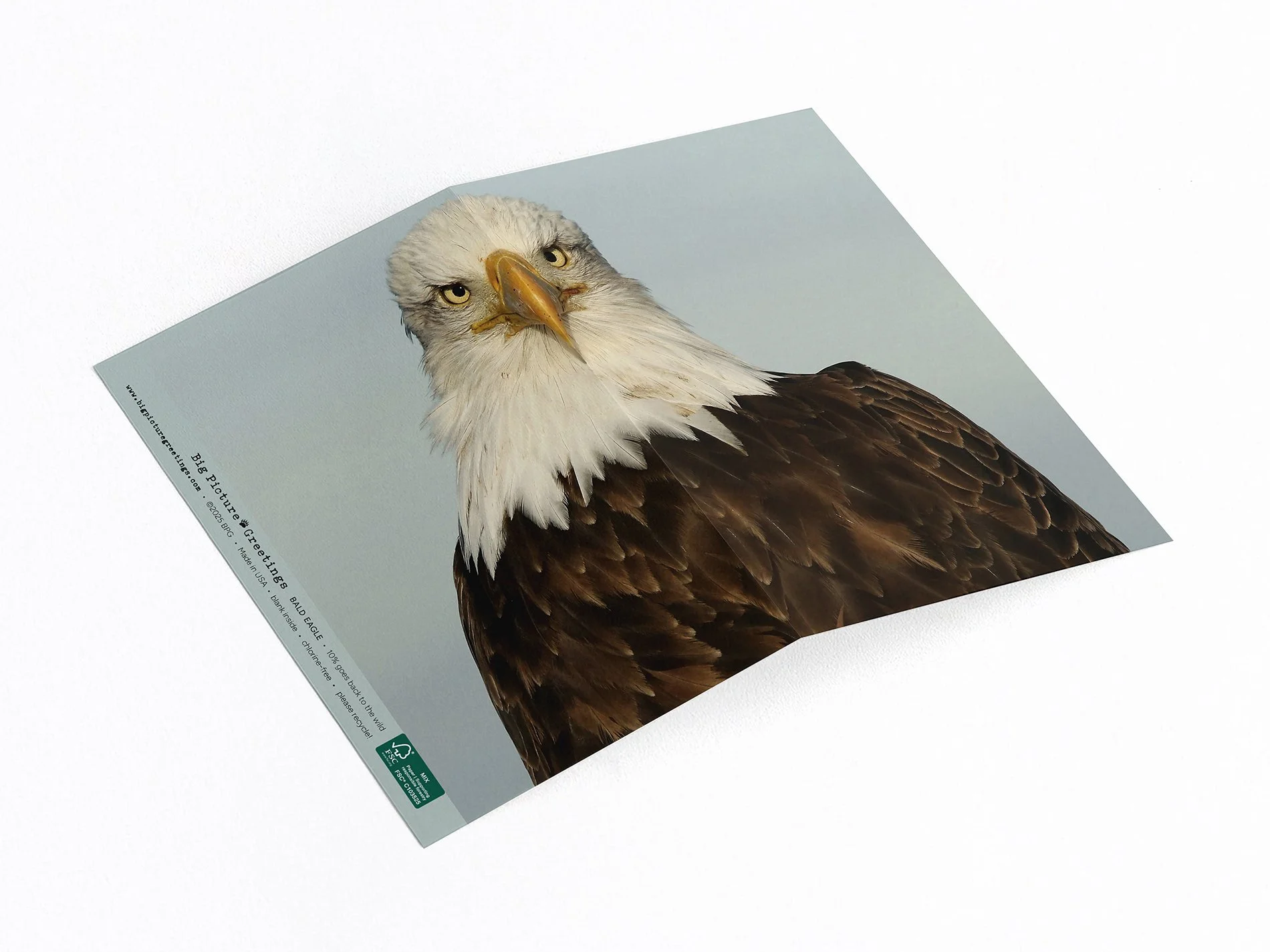 Bald Eagle wrap around card