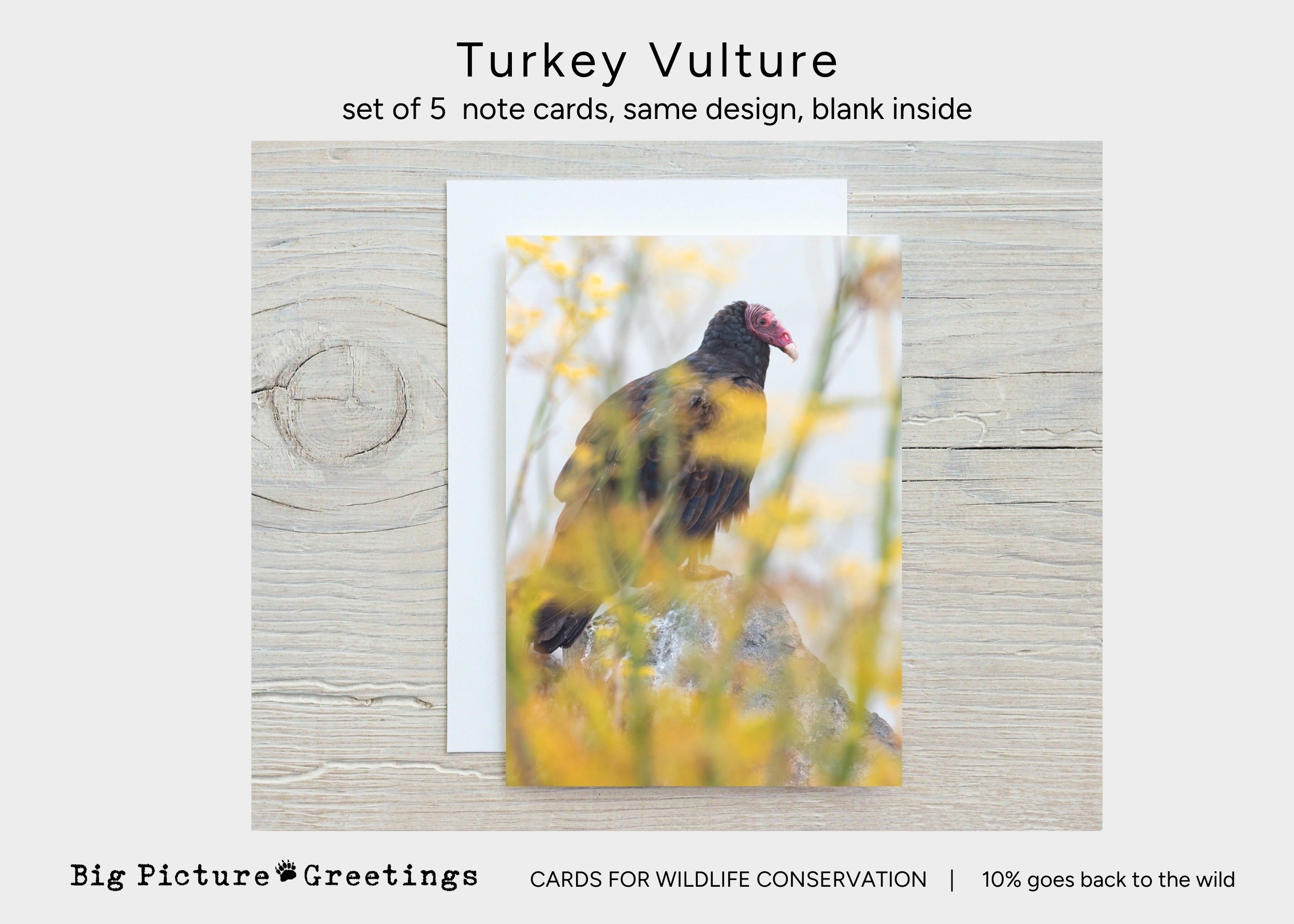 Copy of Copy of cards for wildlife conservation (31).jpg
