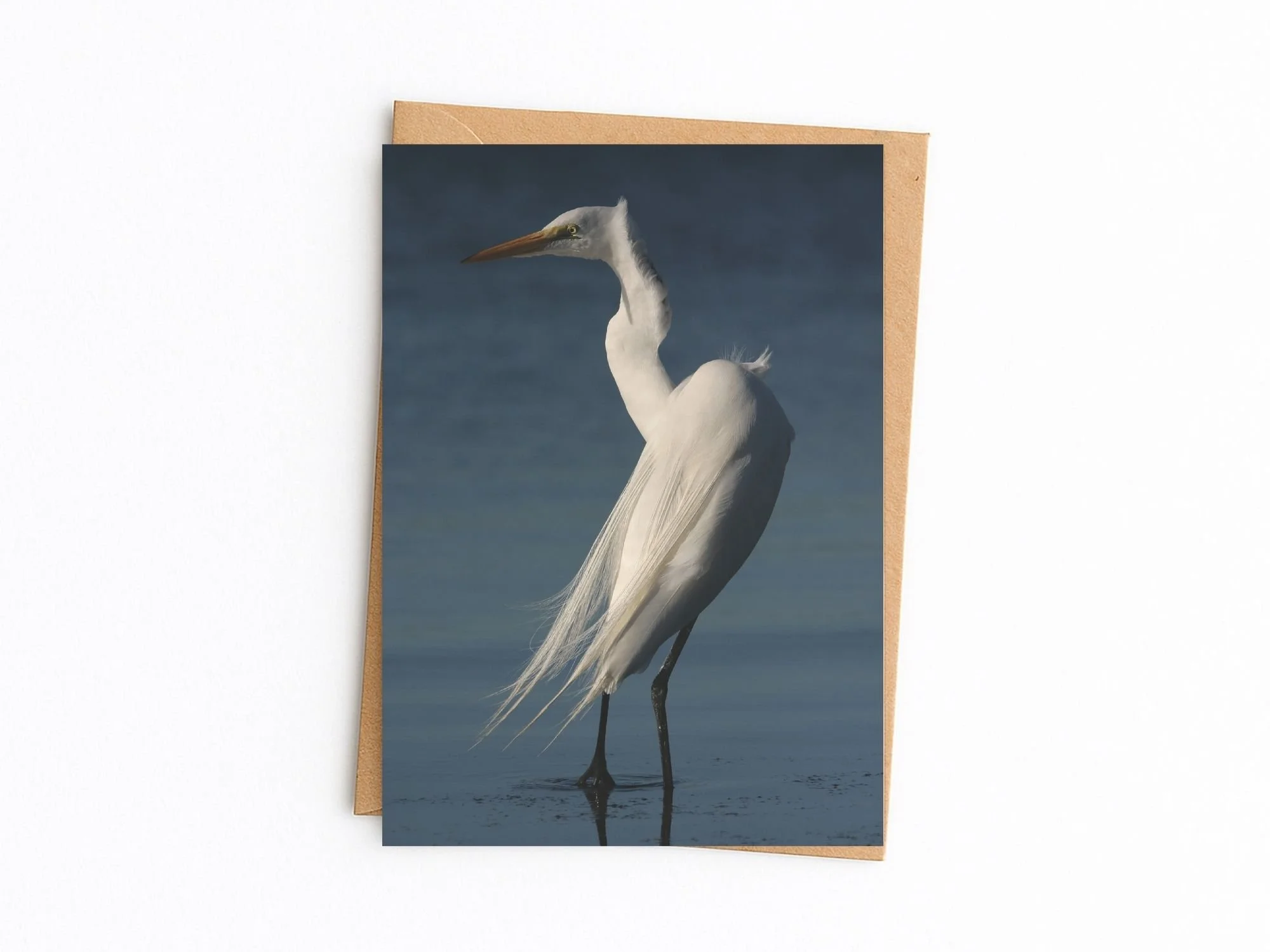 Great Egret