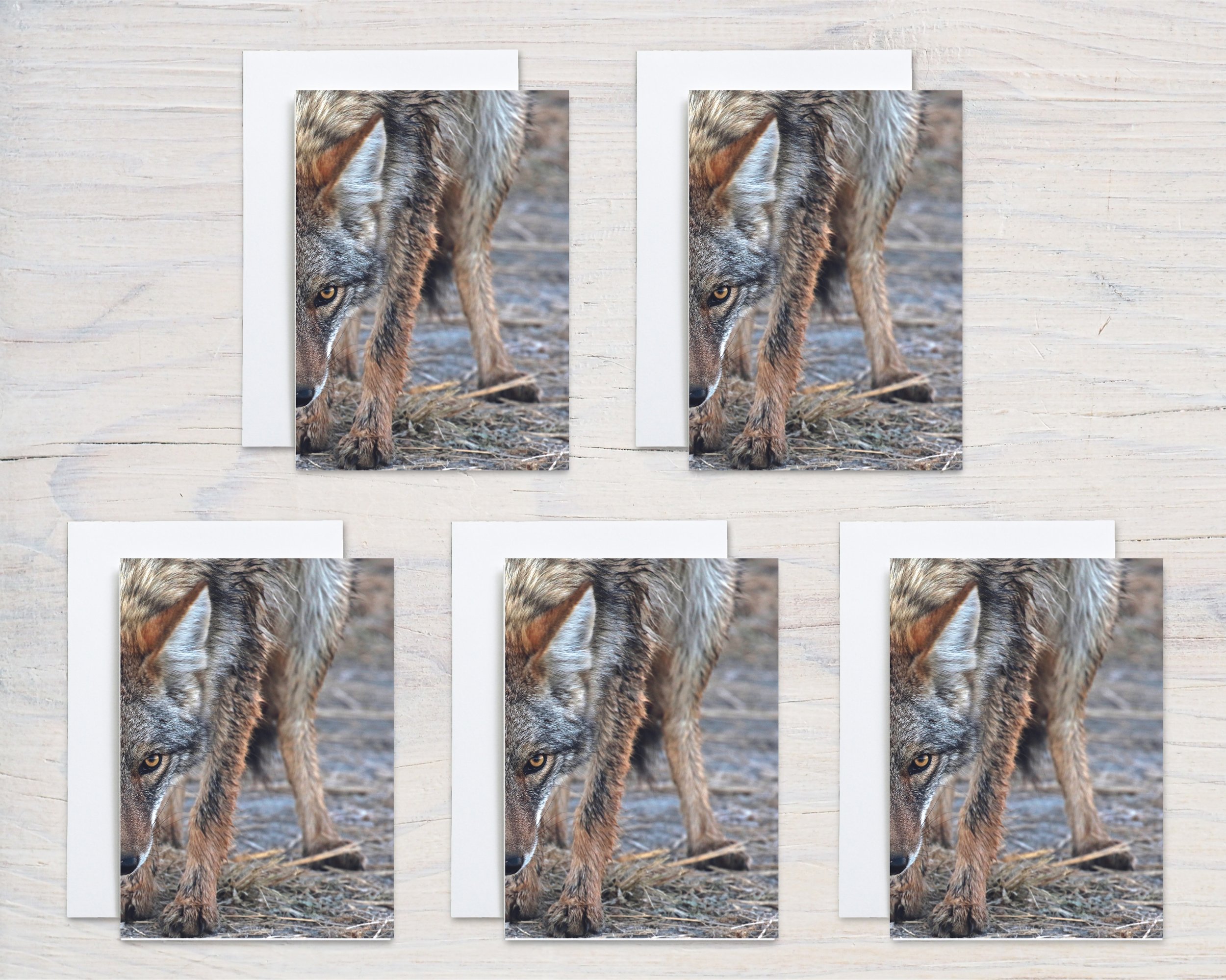 Untitled design - 2024-10-24T070357.721.jpg