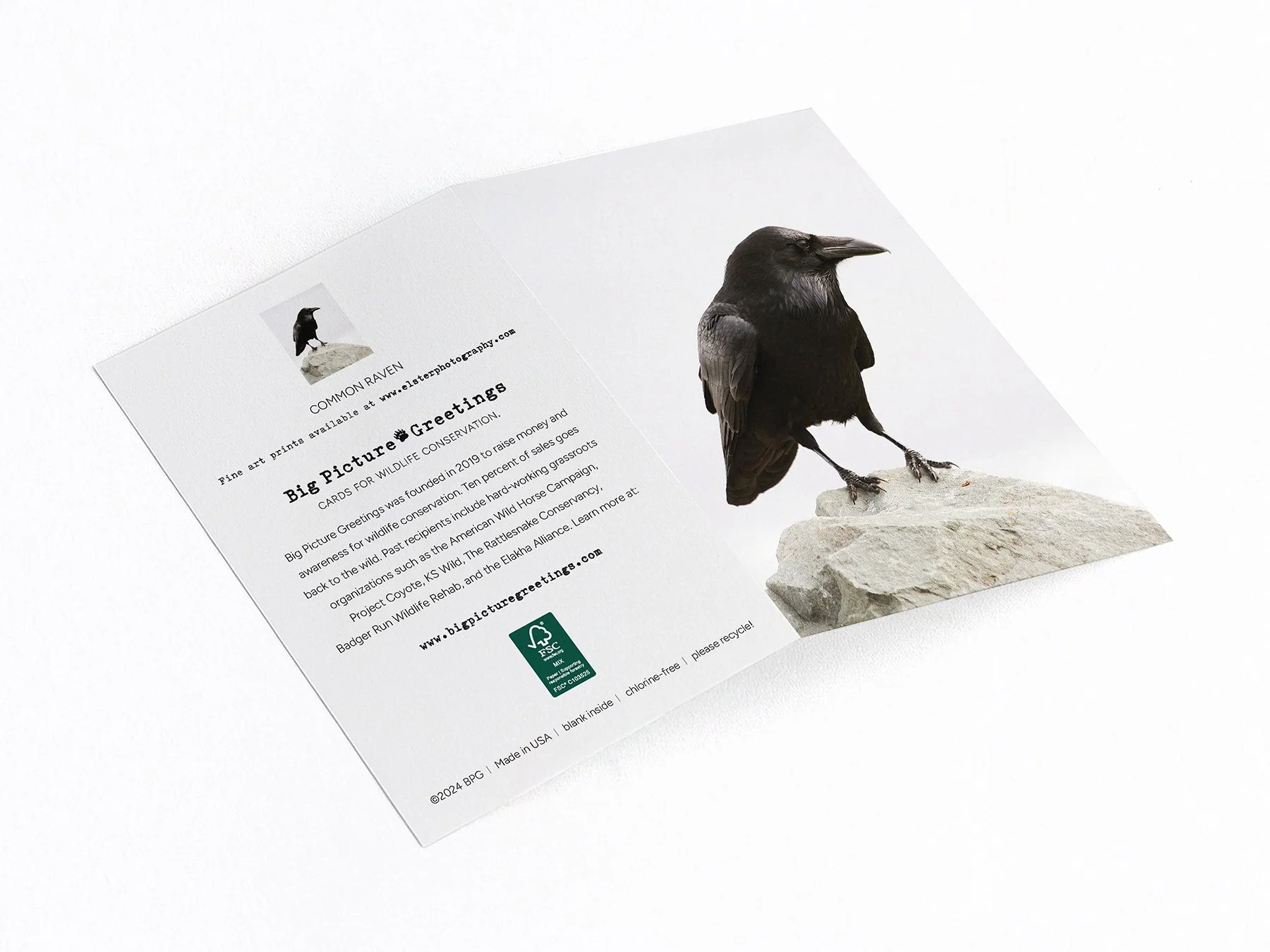 raven finished mock jpeg.jpg