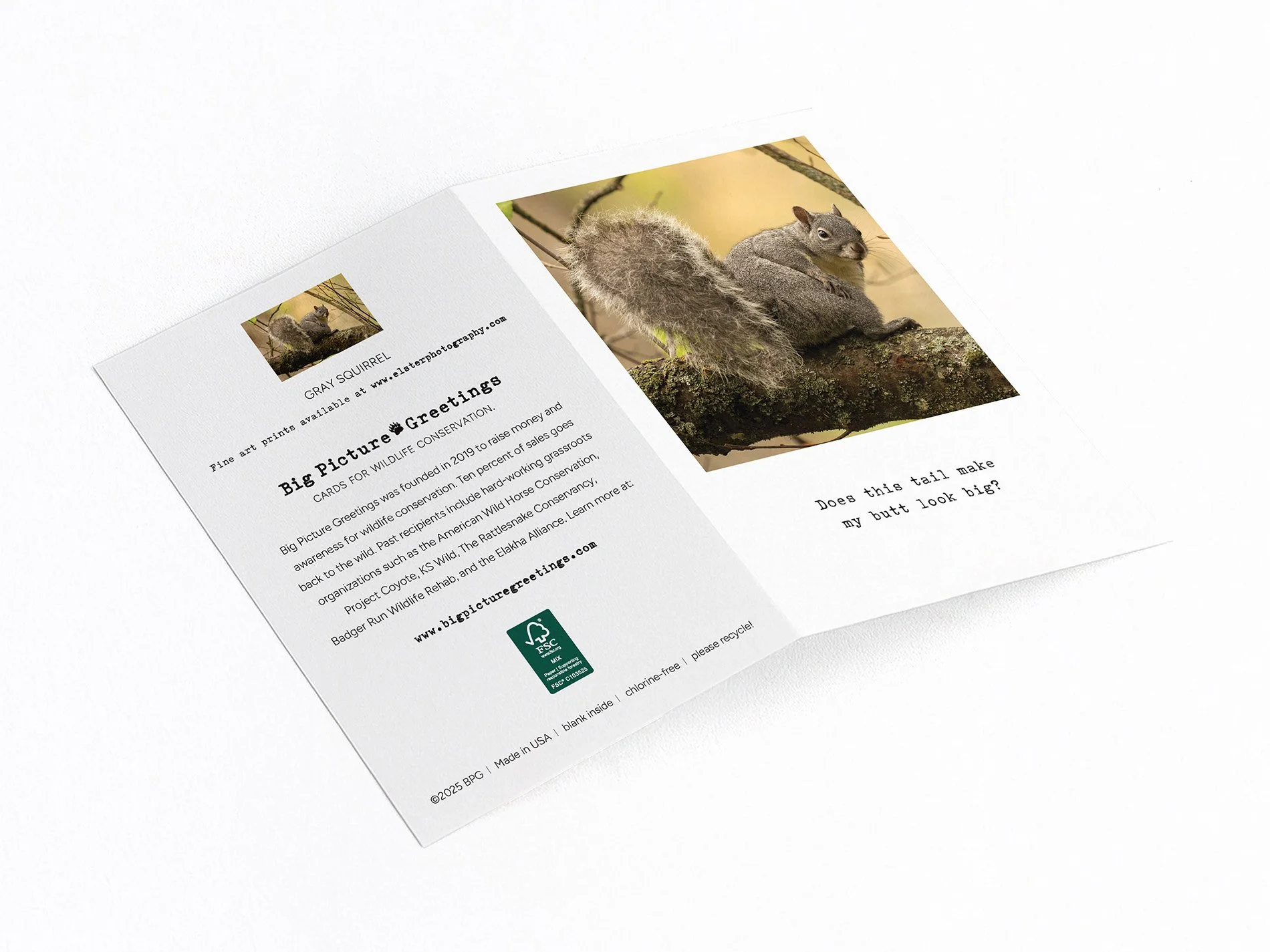 squirrel butt finished mock jpeg.jpg