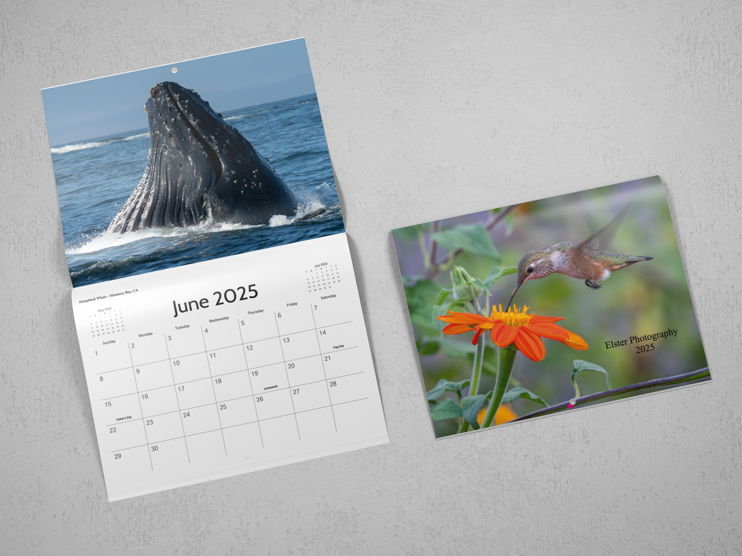 2025 calendar whale and cover.png