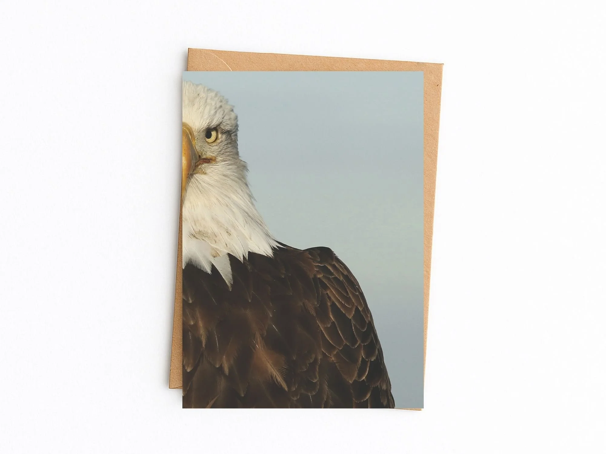 bald eagle kraft.jpg