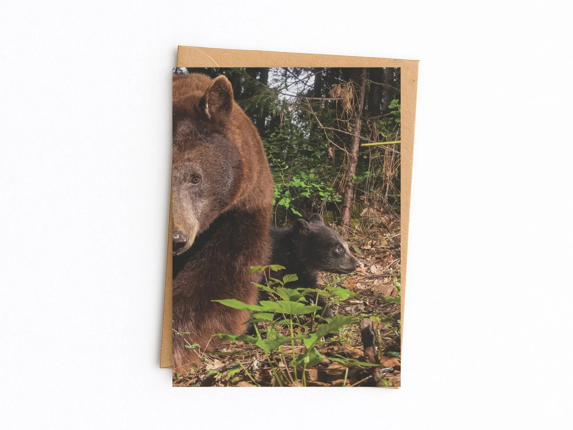 mama bear kraft env.jpg