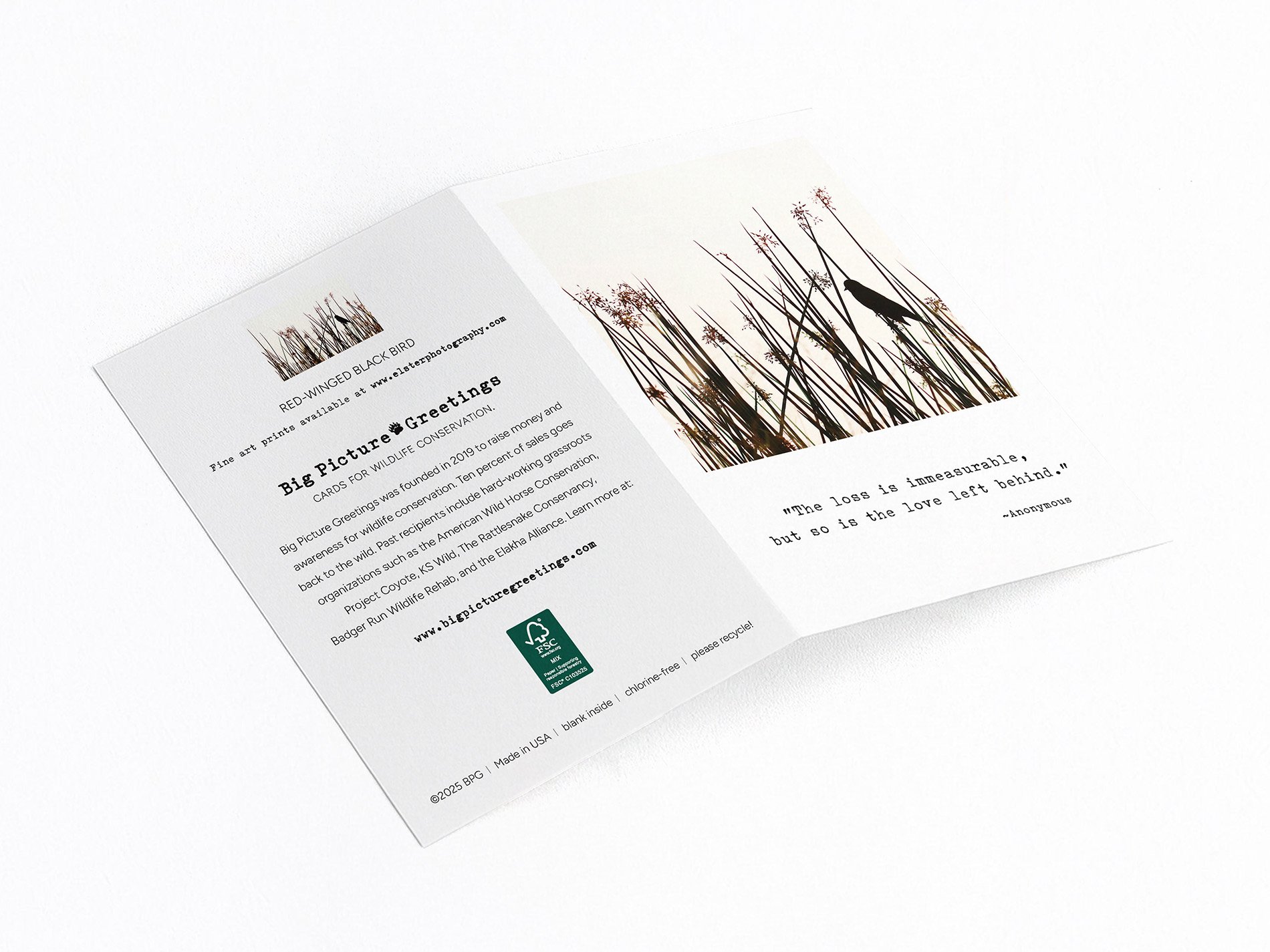 immeasureable finished mock.jpg