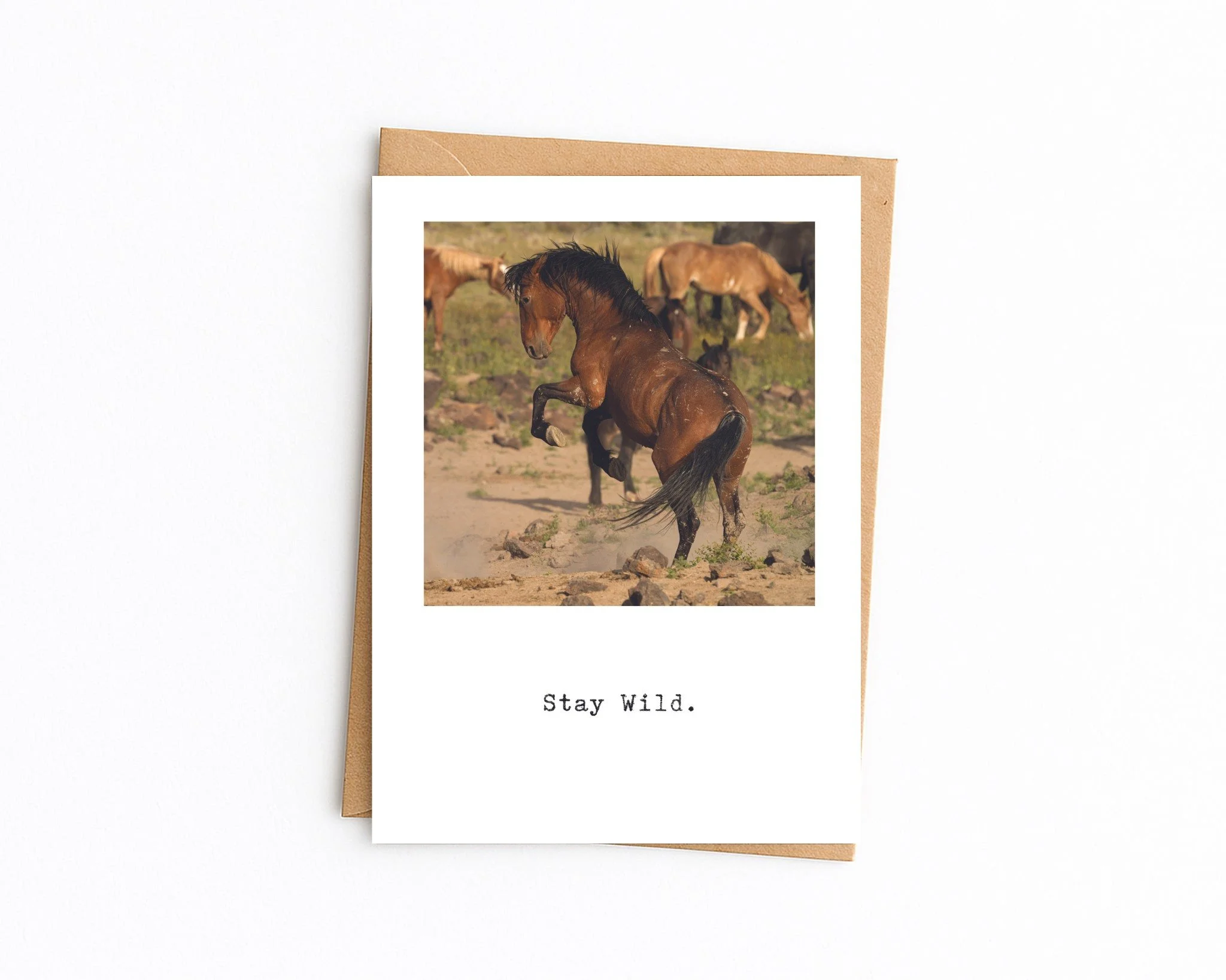 5x7 white with kraft envelope (78).jpg