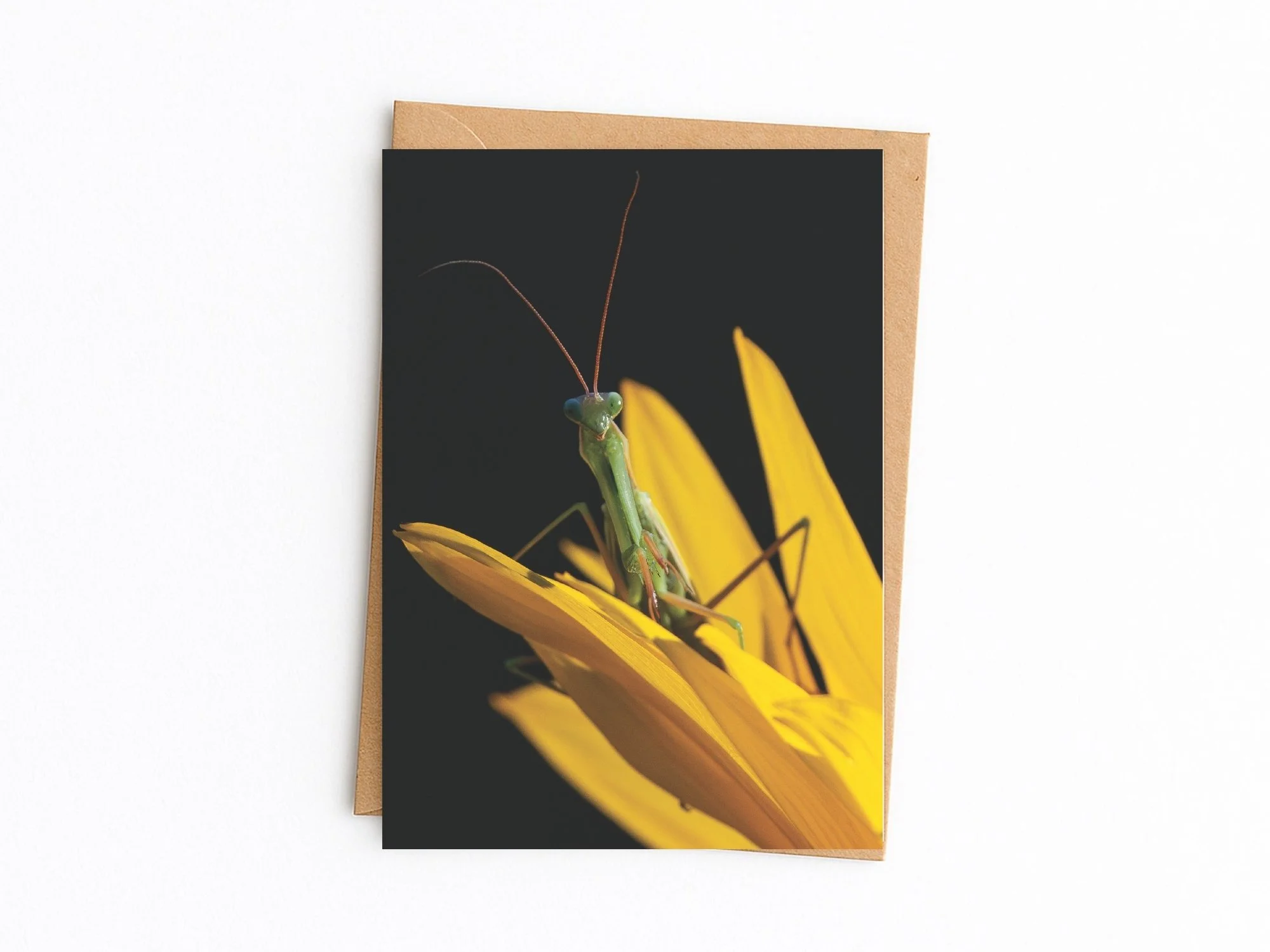 Copy of 2026 Card template front MASTER (2).jpg