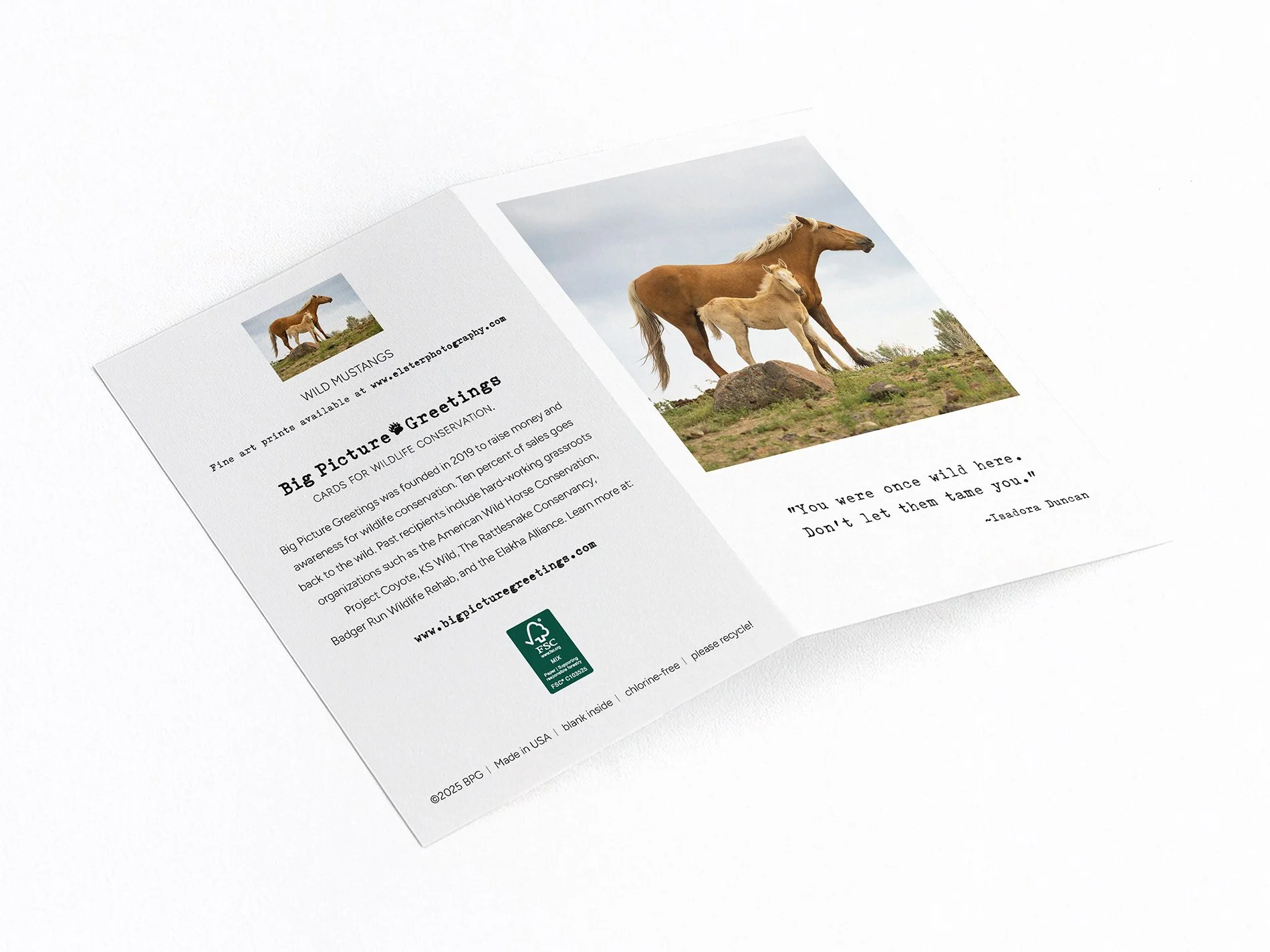 once wild finished mock jpeg.jpg