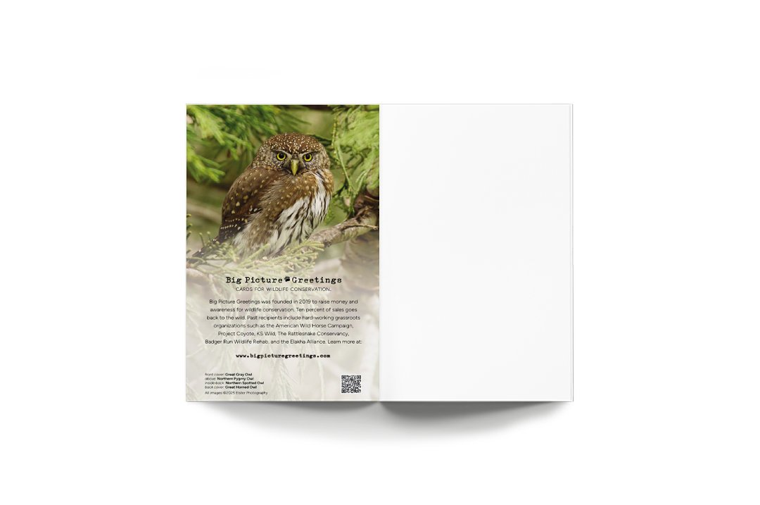 mockup-2.jpg