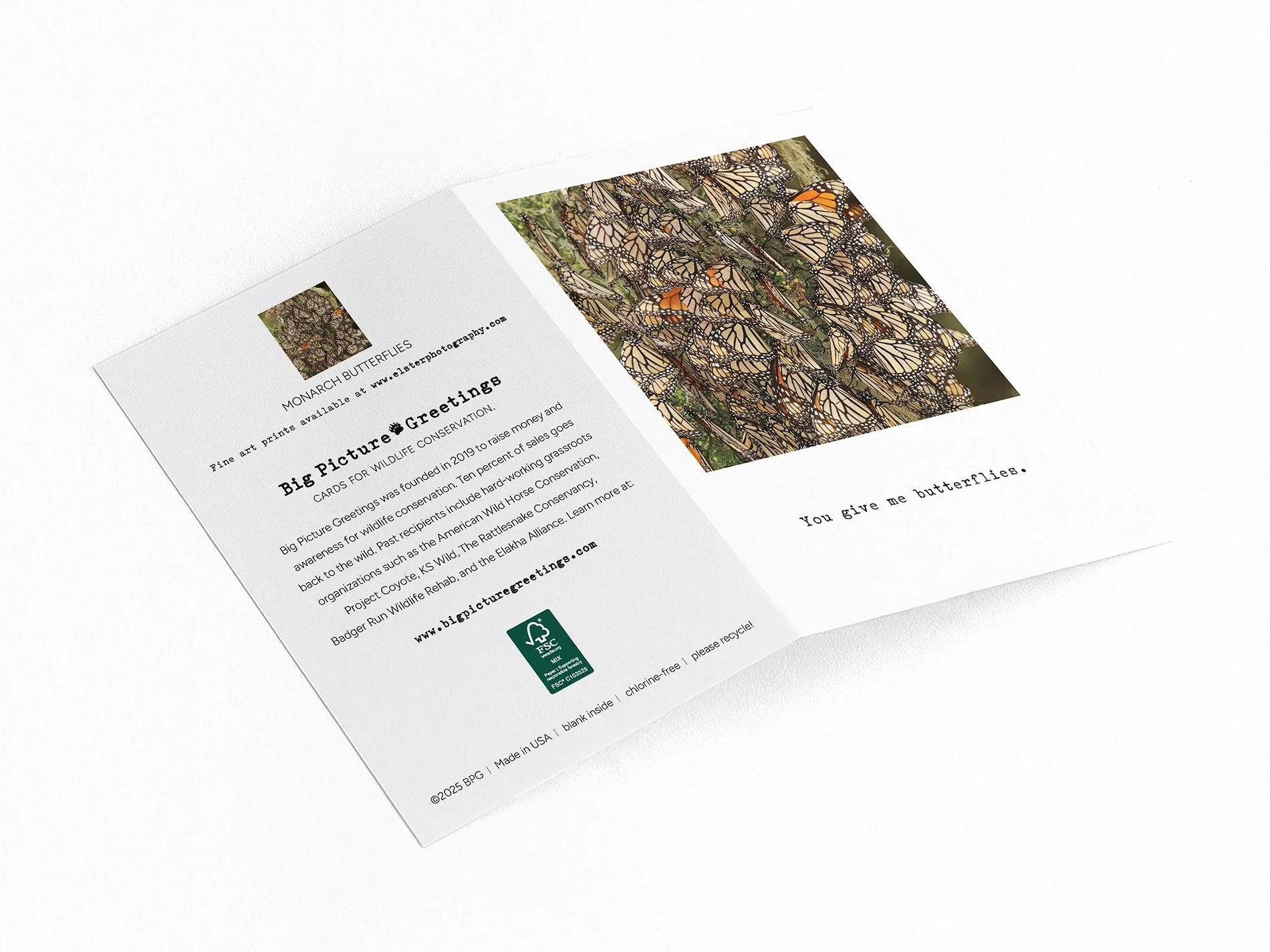 butterflies finished mock jpeg.jpg