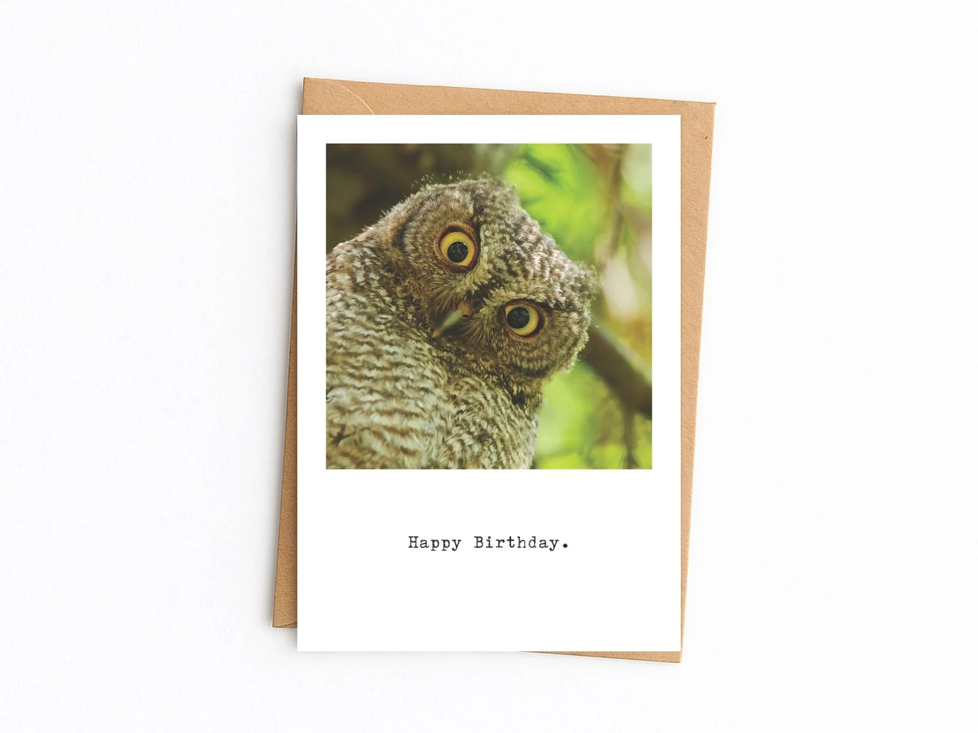 Happy Birthday Owl Card