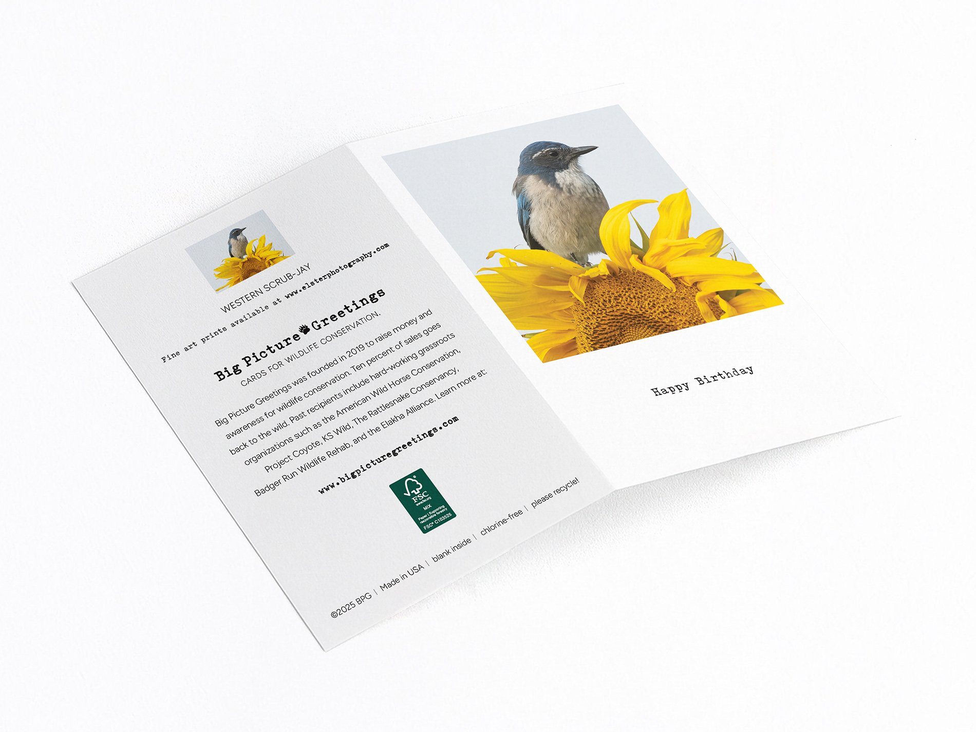 jay finished mock jpeg.jpg