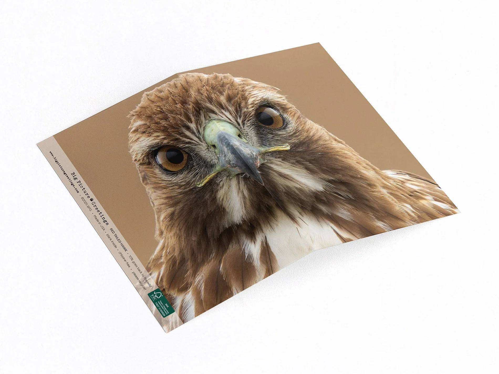 rth finished mockup jpeg.jpg