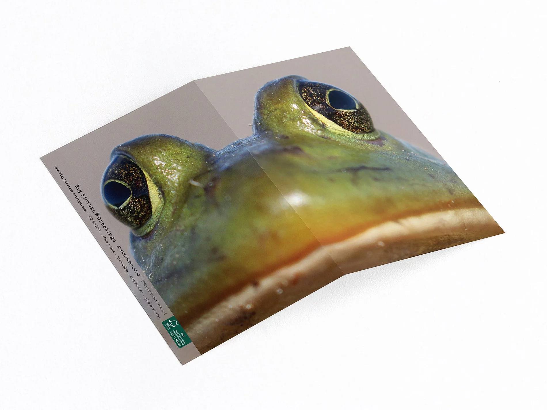 Bullfrog - wrap around card