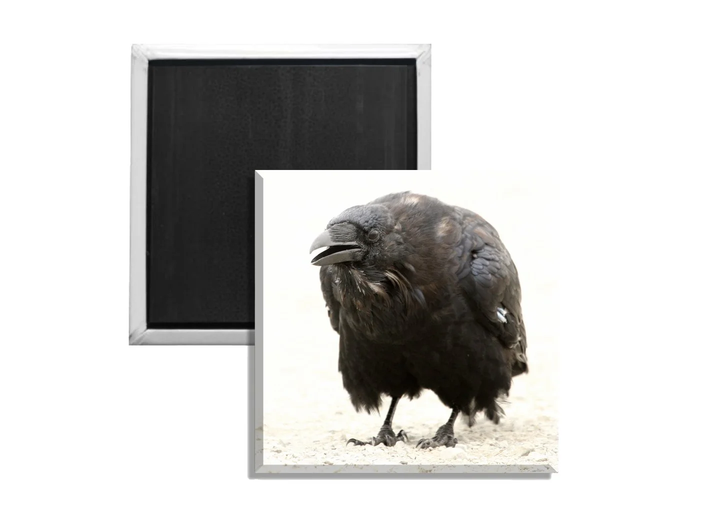 Raven Three.jpg