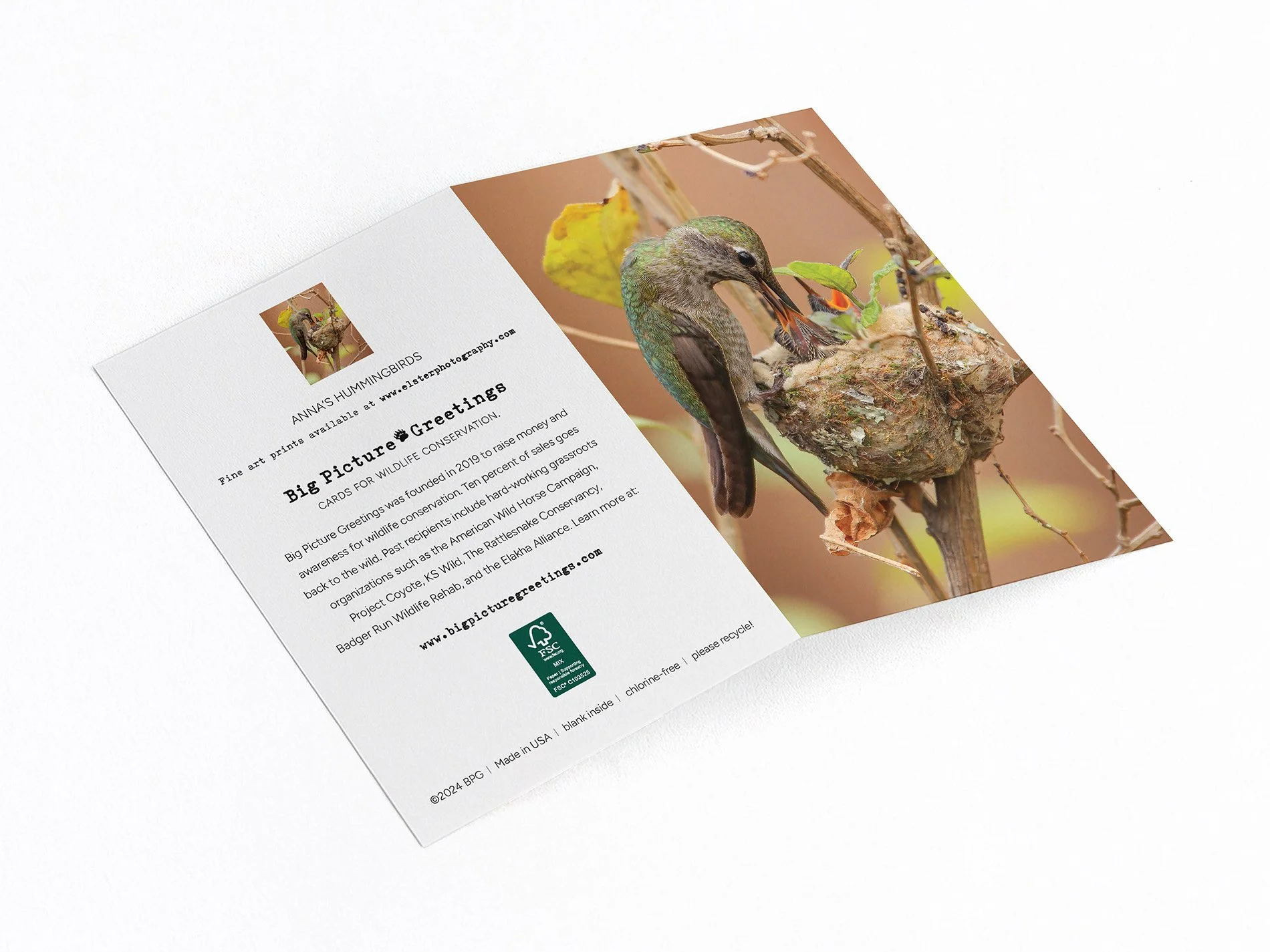 annas nest finished mock.jpg