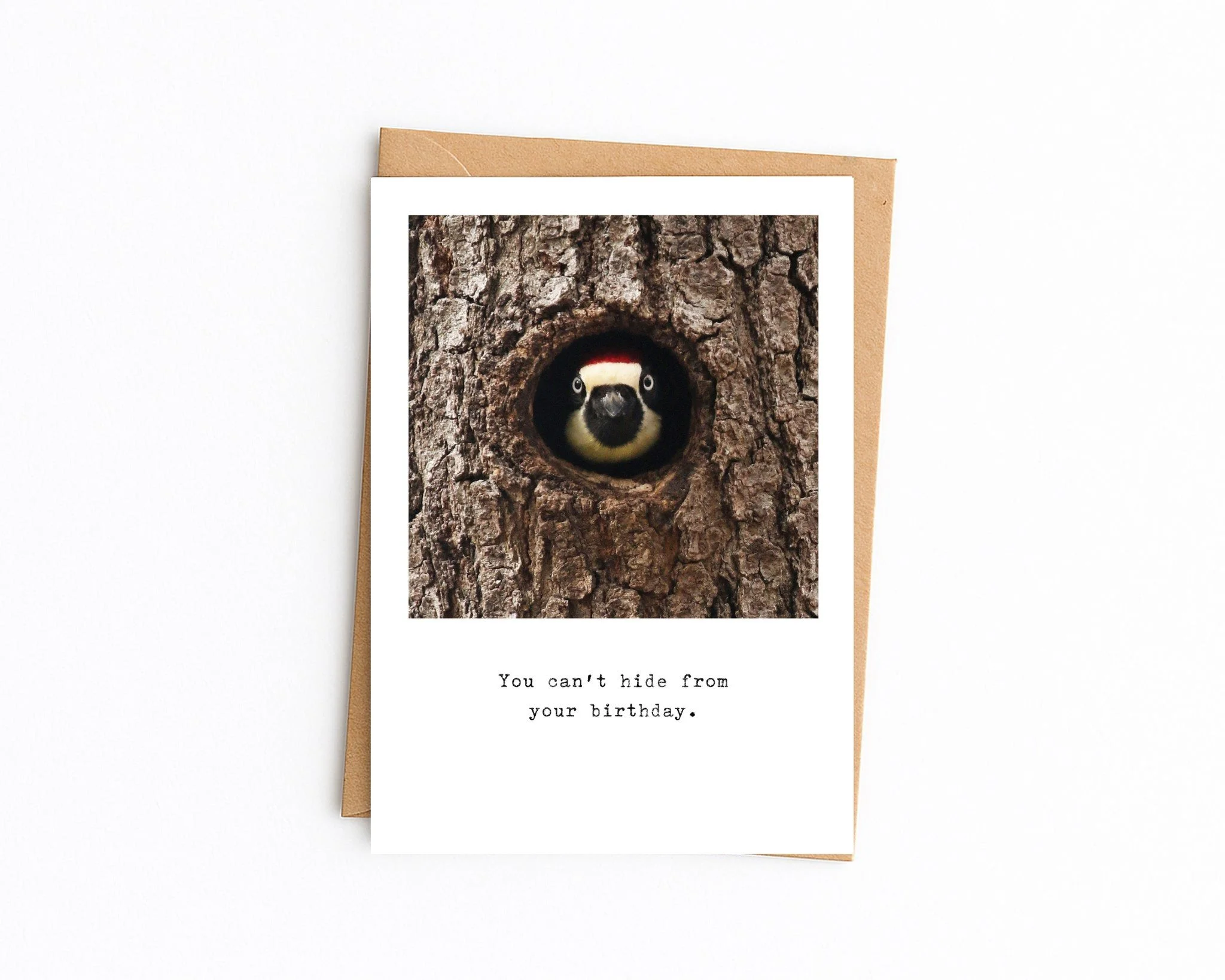 5x7 white with kraft envelope (71).jpg