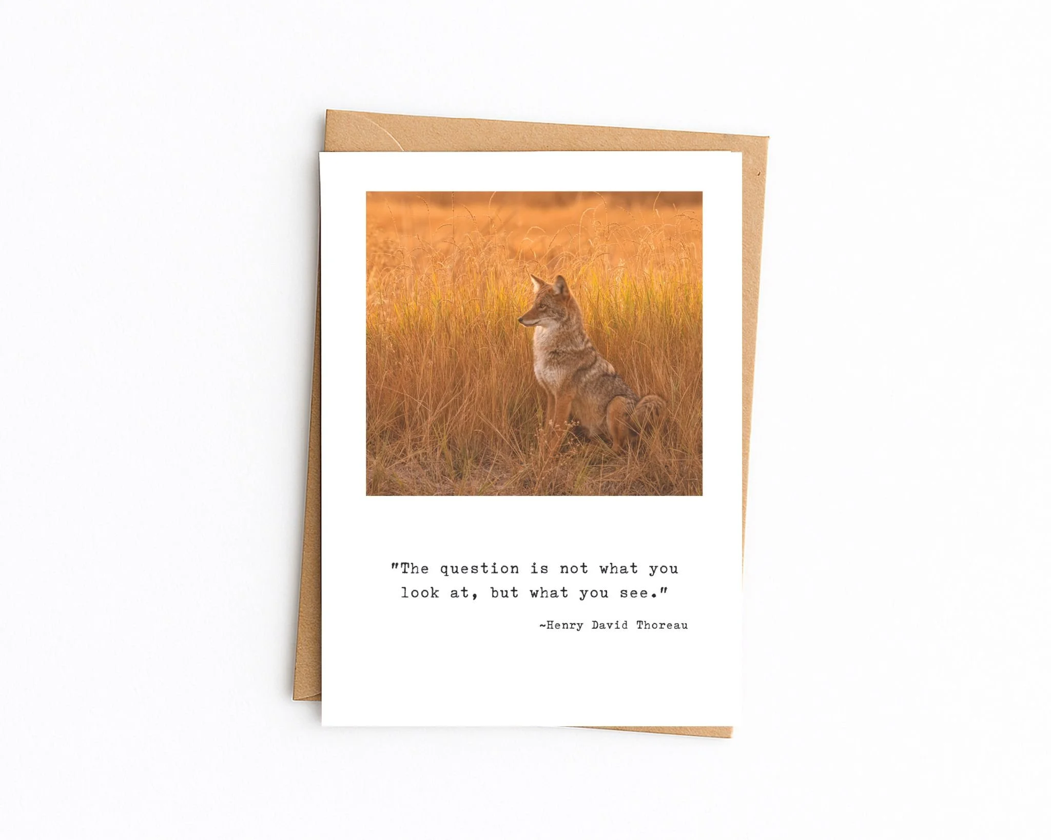 5x7 white with kraft envelope (82).jpg