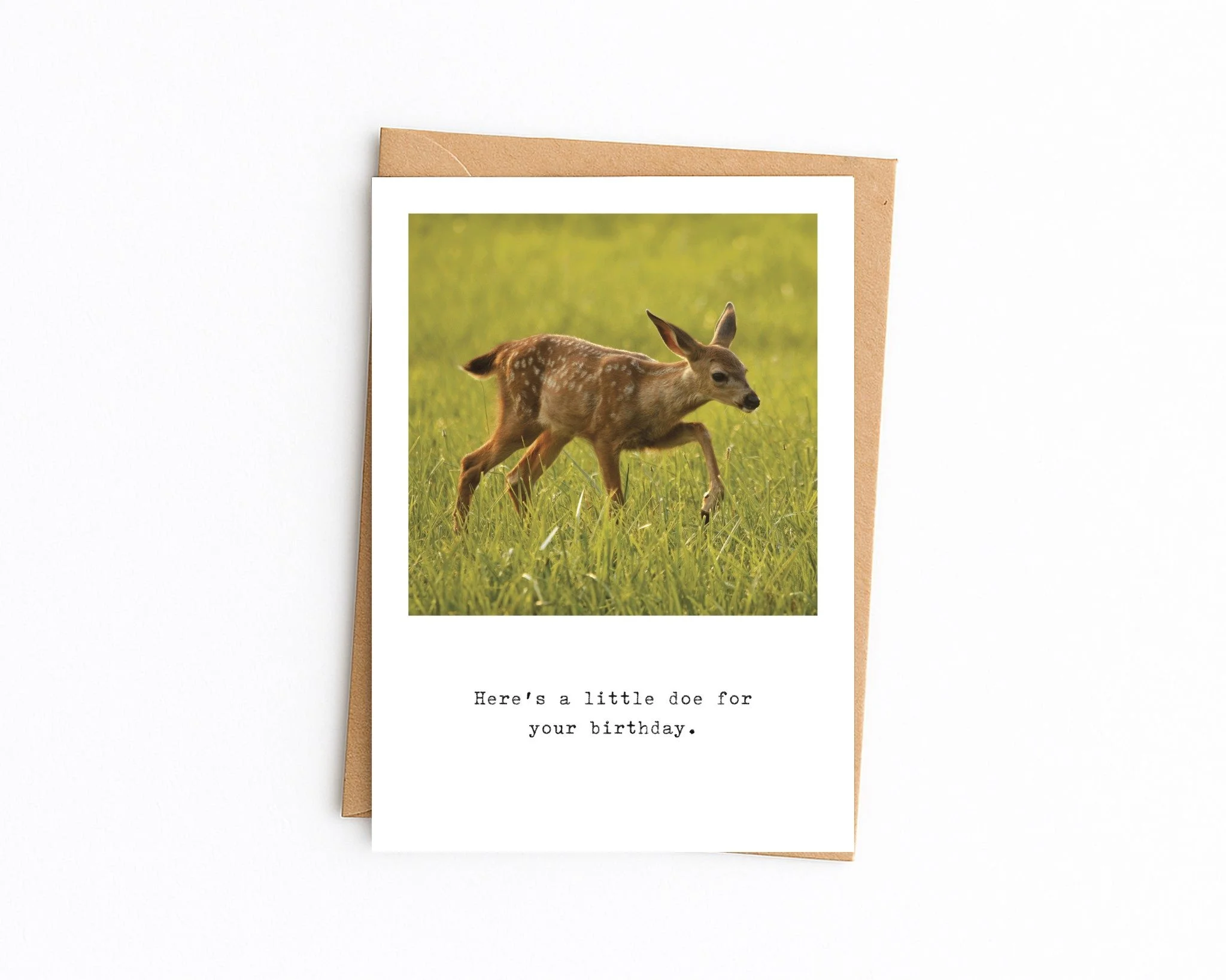 5x7 white with kraft envelope (24).jpg