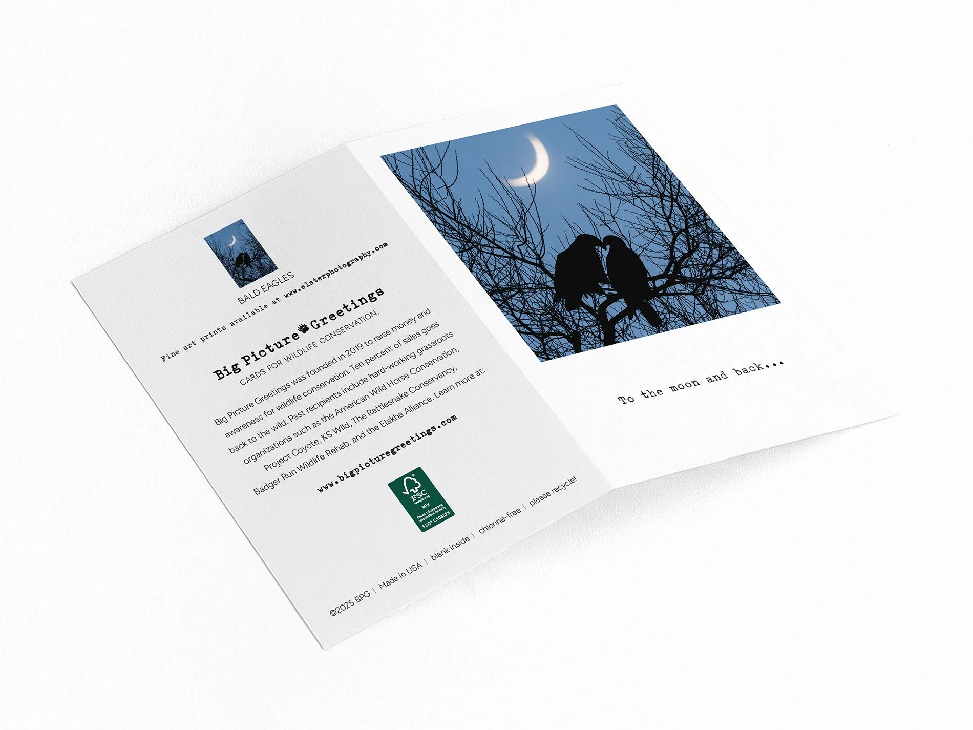 to the moon finished mock jpeg.jpg