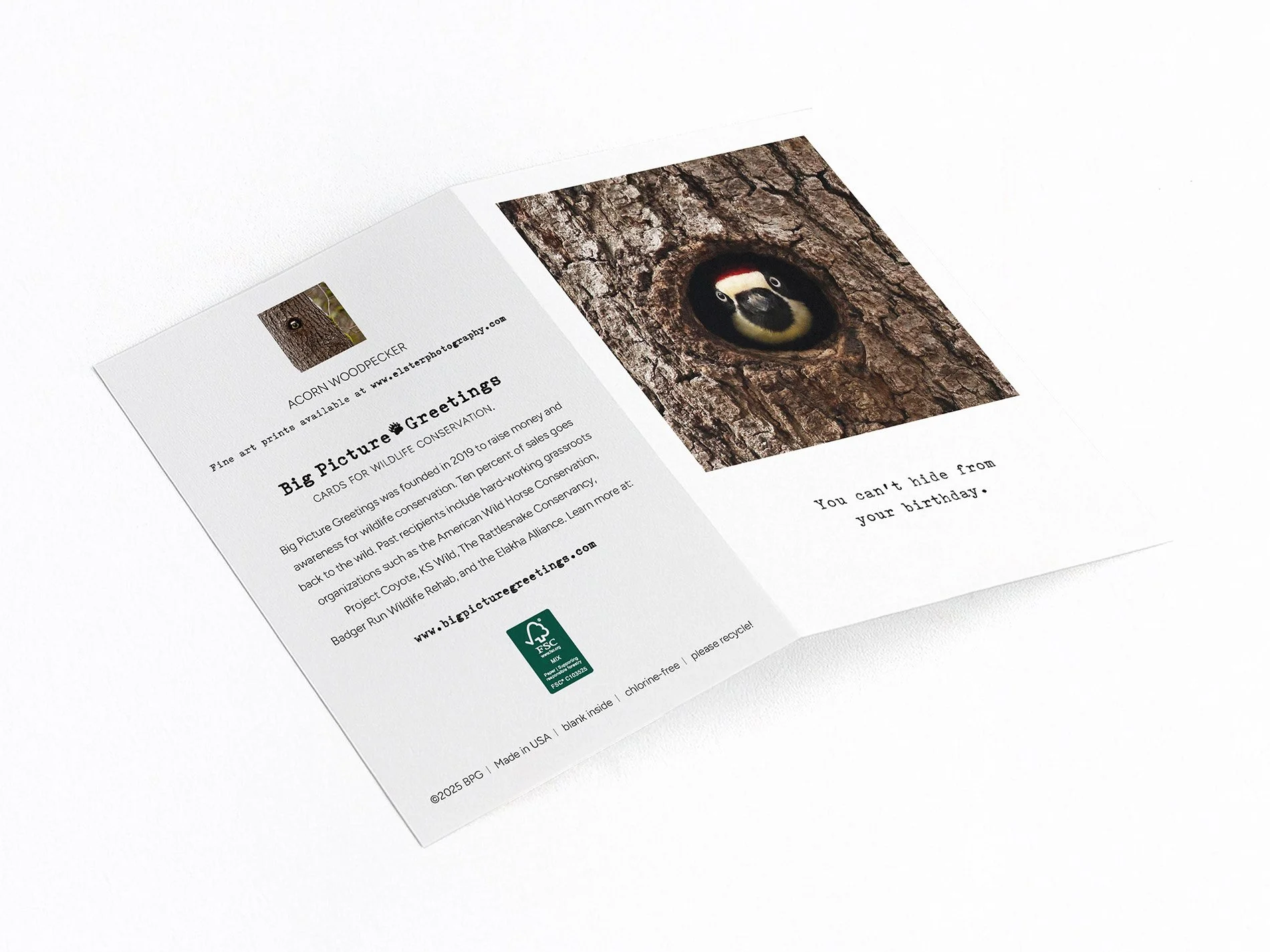 cant hide finished mock jpeg.jpg