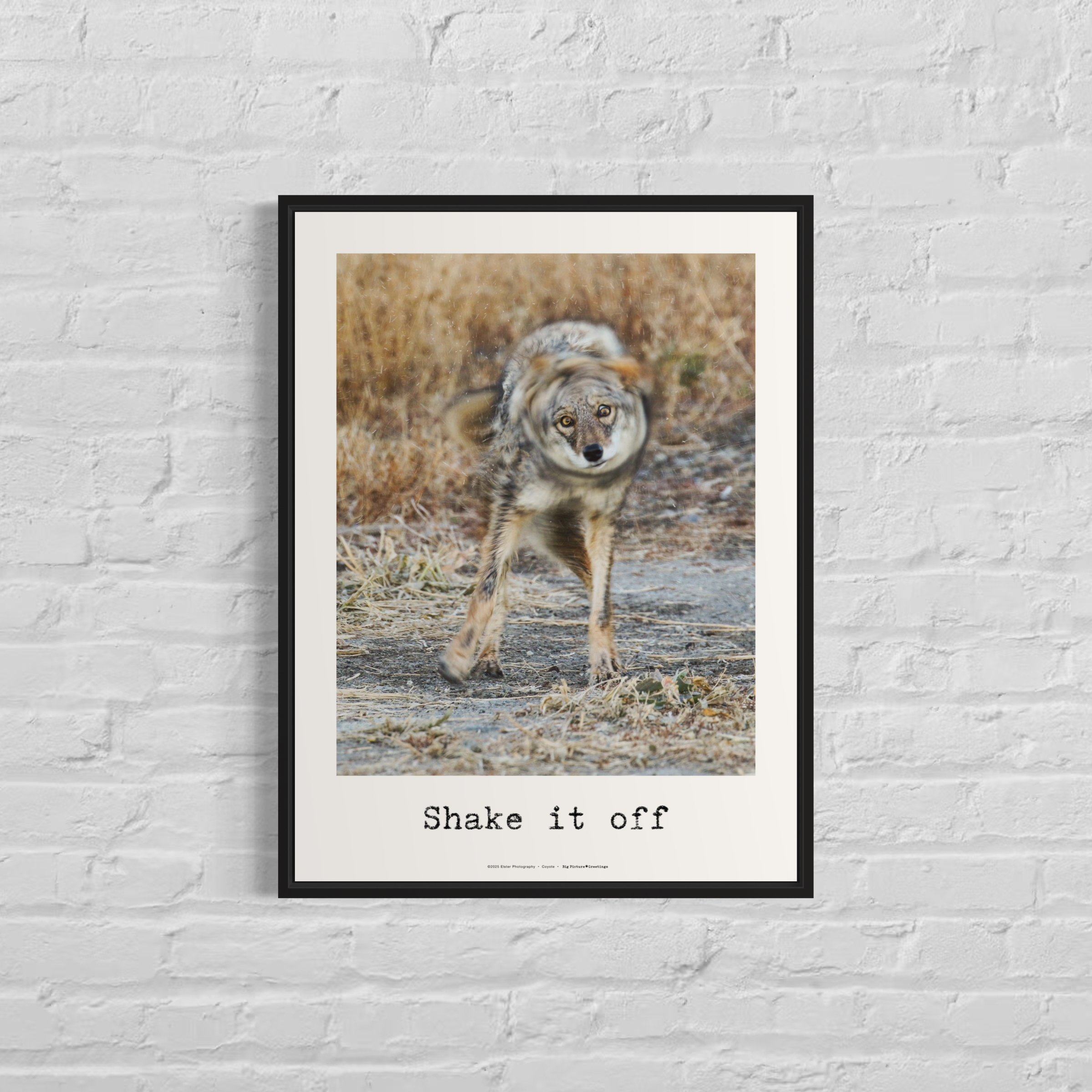 Shake It Off