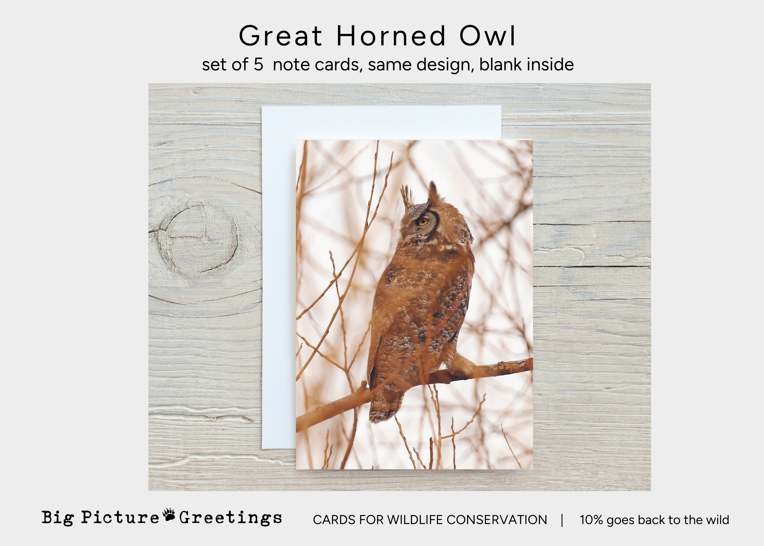 Copy of Copy of cards for wildlife conservation (41).jpg