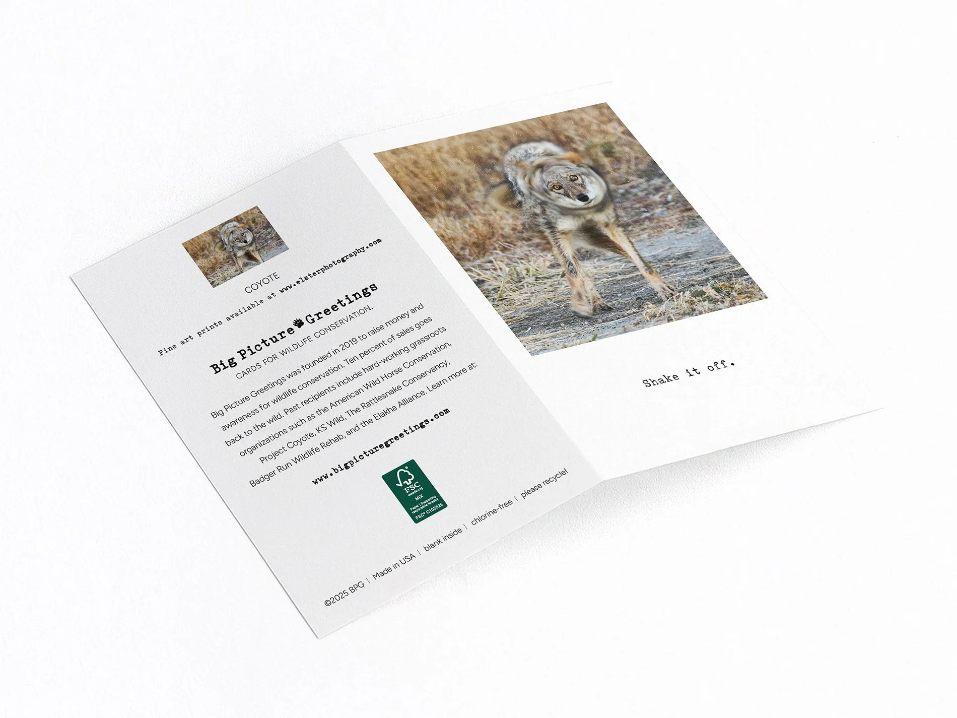 shake finished mock jpeg.jpg