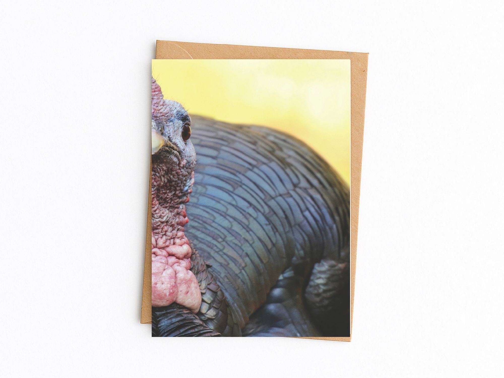 wild turkey kraft env.jpg