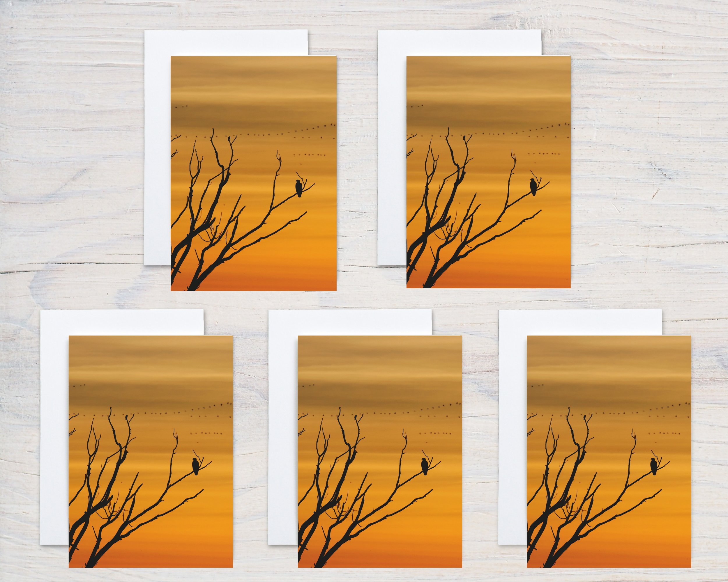 Untitled design - 2024-11-20T064707.767.jpg